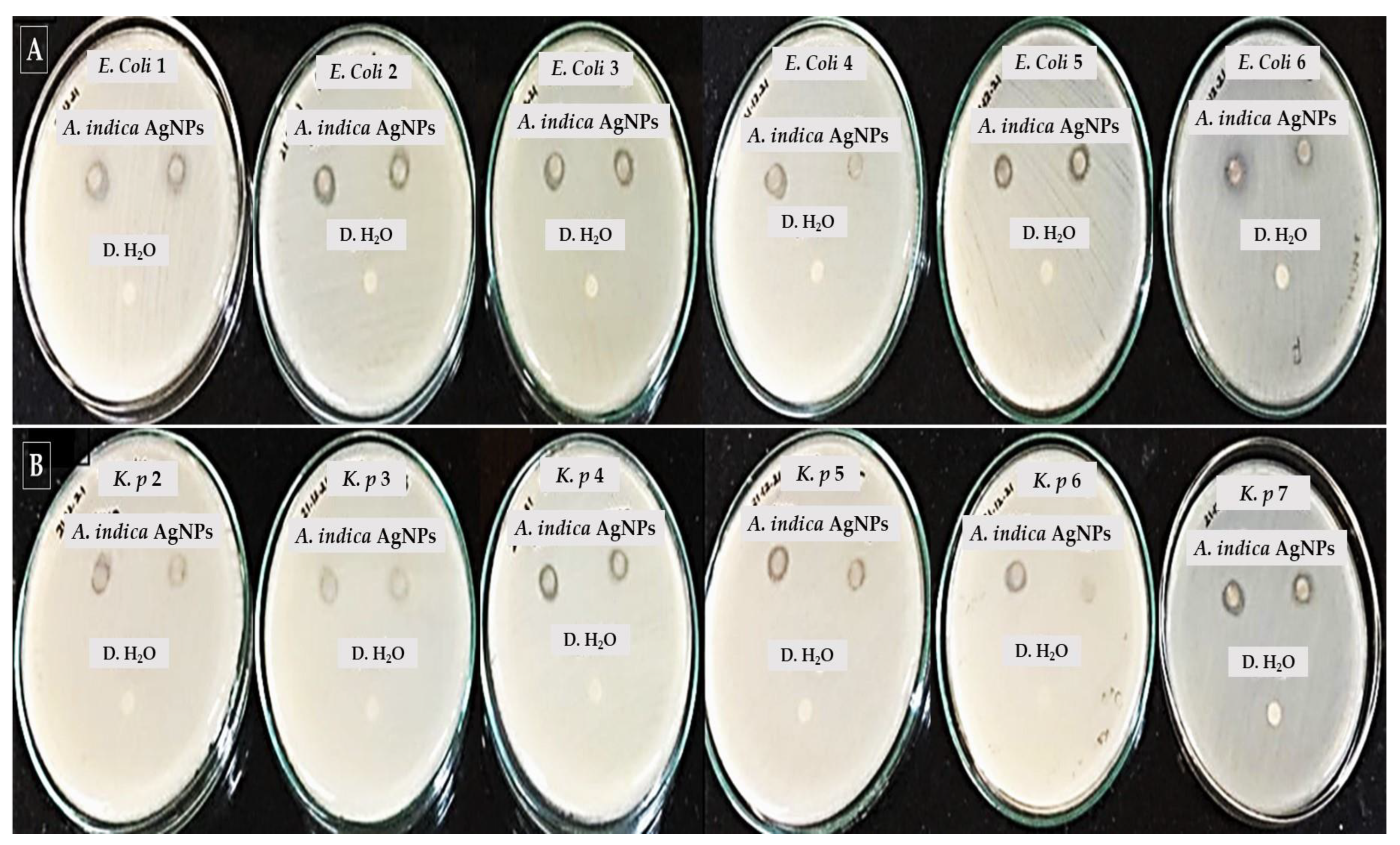 Molecules 27 07244 g006 Molecules 27 07244 g006