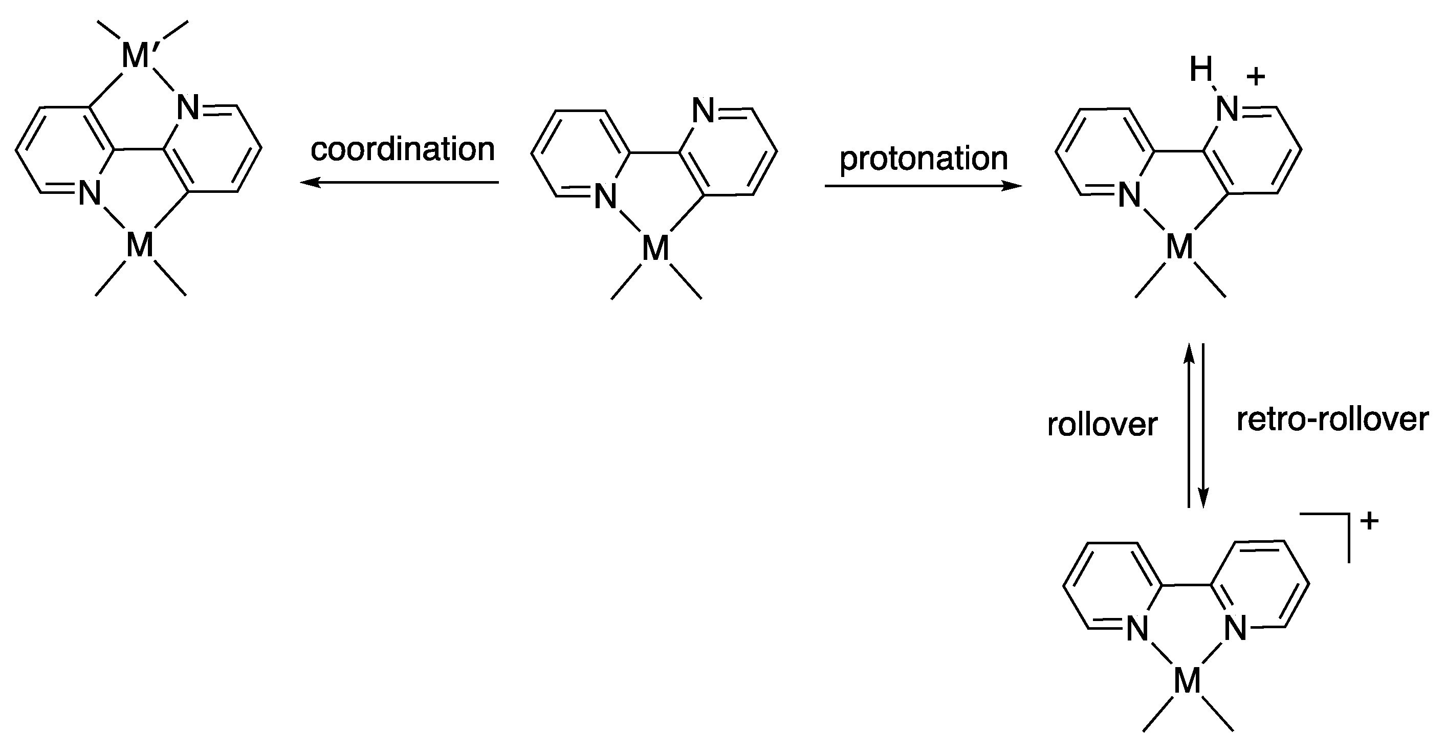 Molecules 27 07249 sch001 Molecules 27 07249 sch001