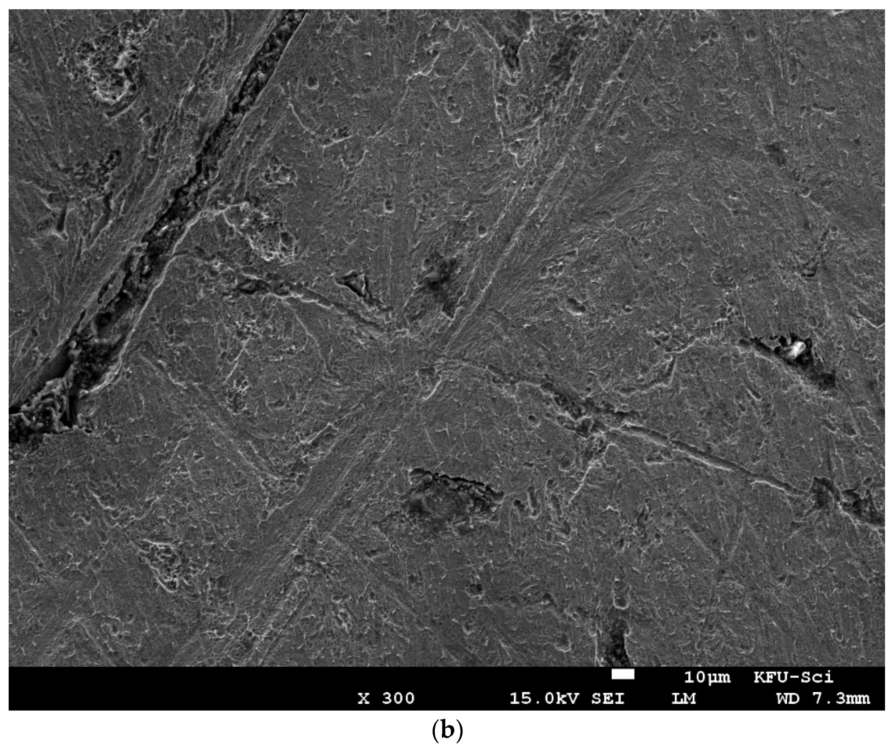Molecules 27 07250 g013b Molecules 27 07250 g013b