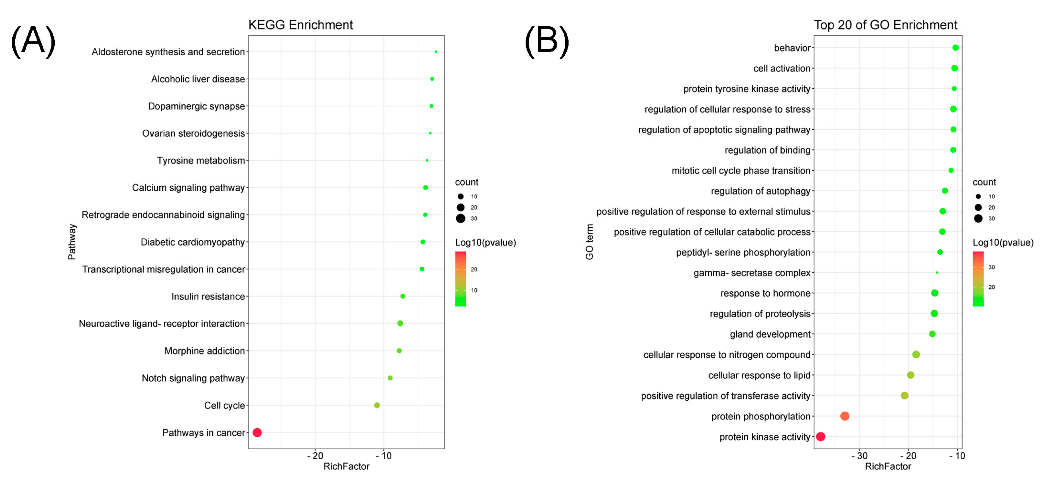 Molecules 27 07253 g006 Molecules 27 07253 g006