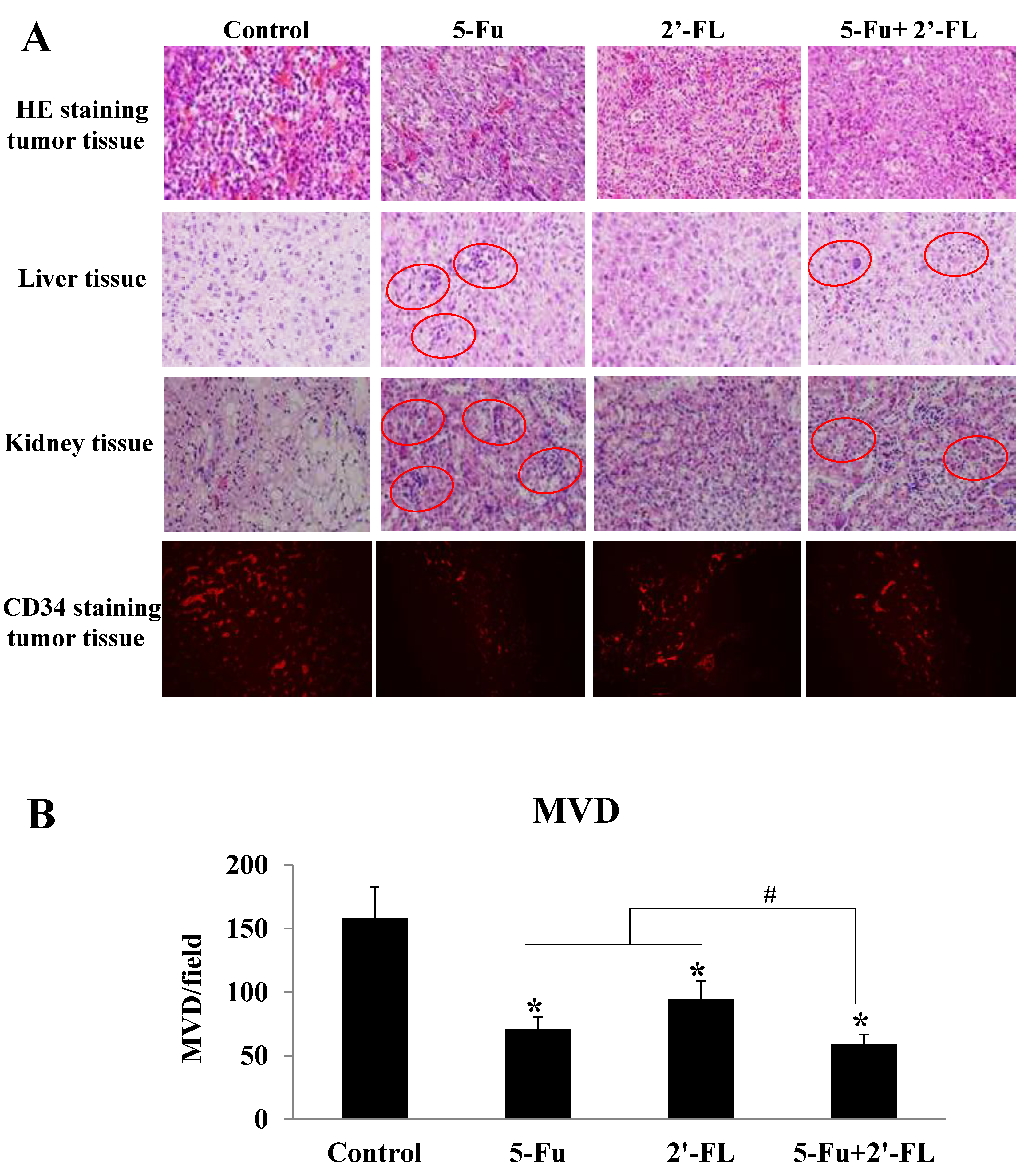 Molecules 27 07255 g004