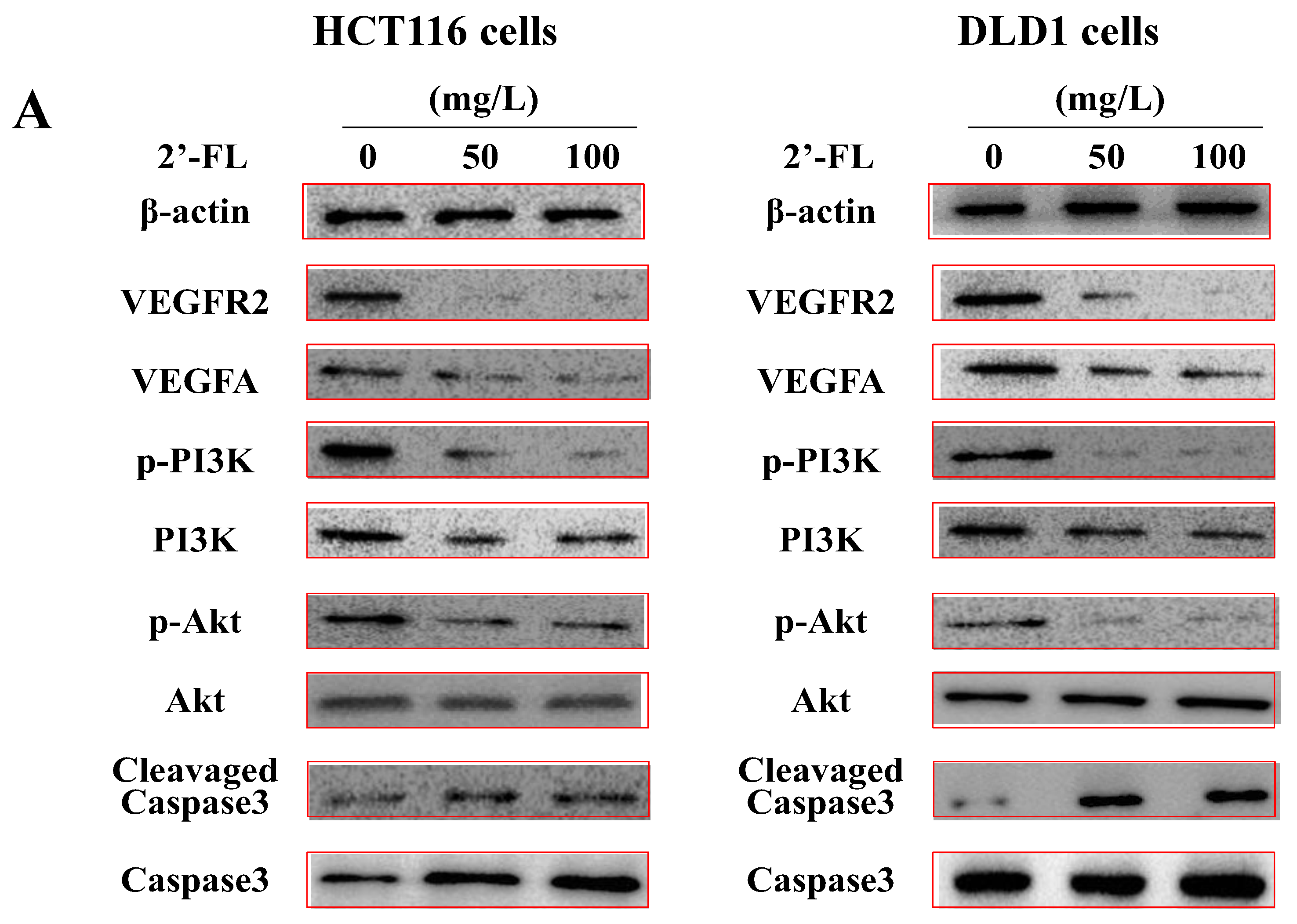 Molecules 27 07255 g005a