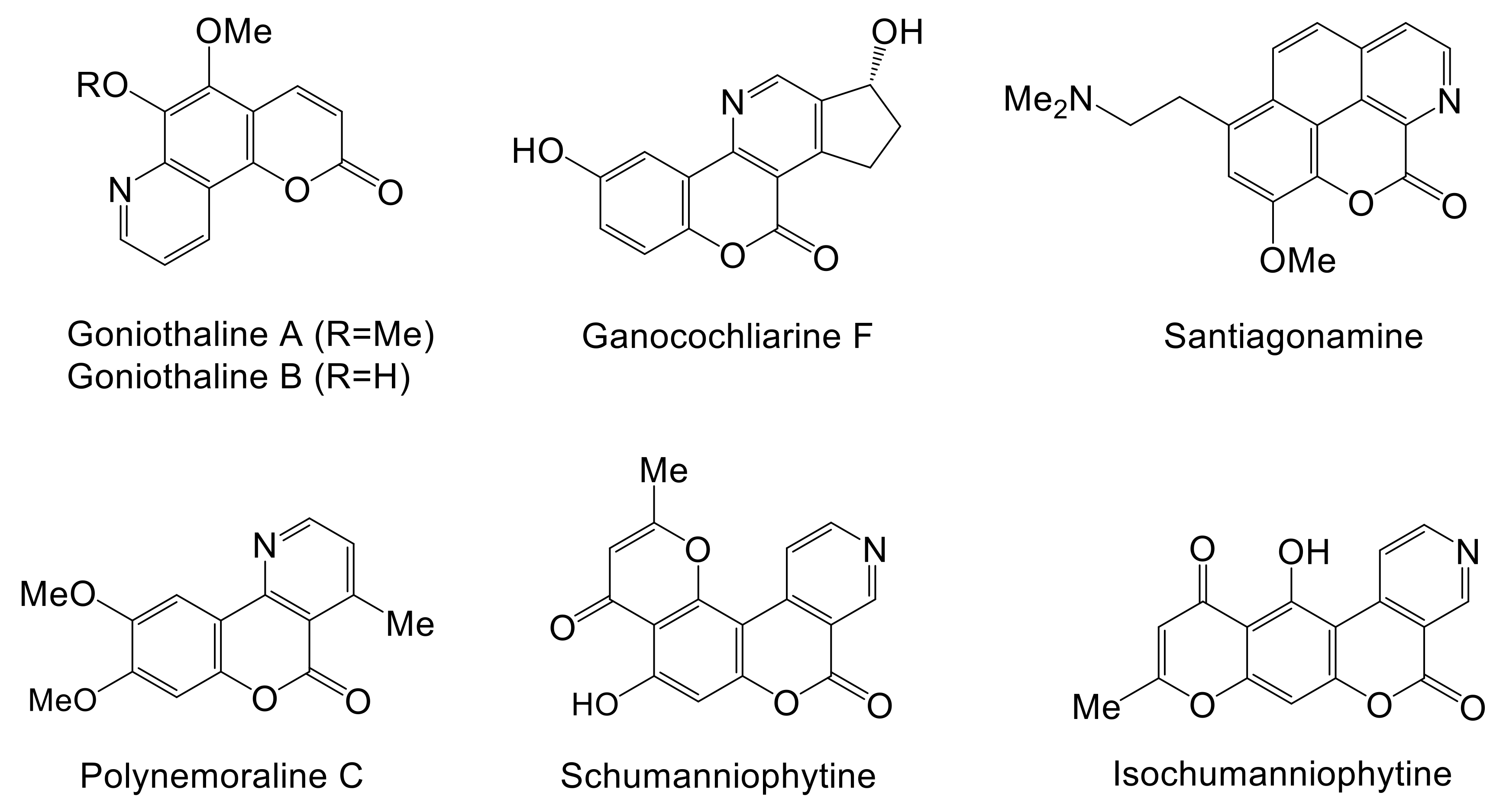 Molecules 27 07256 g001