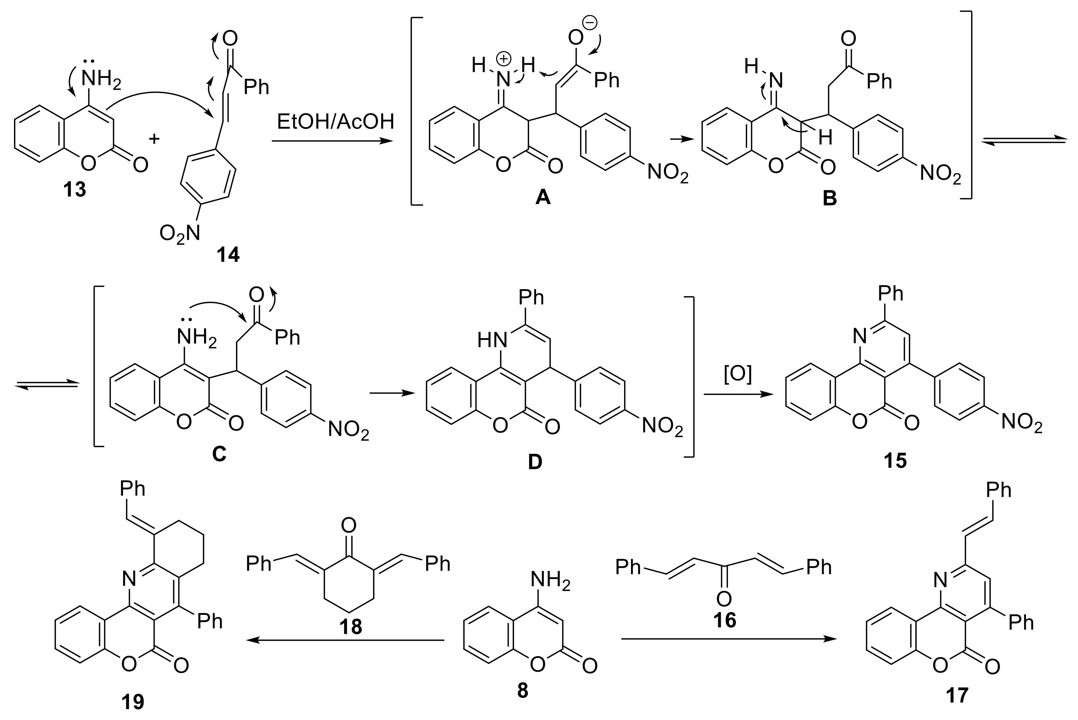 Molecules 27 07256 sch003