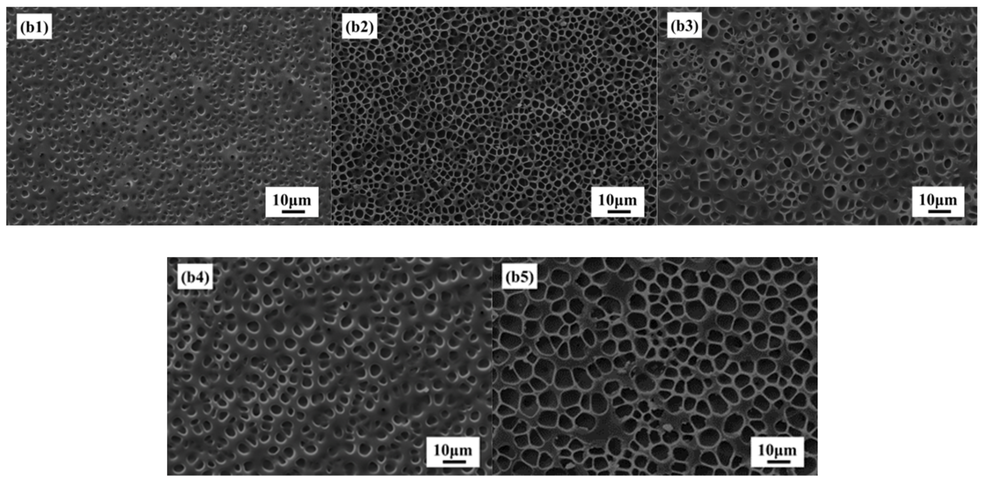 Molecules 27 07265 g005 Molecules 27 07265 g005