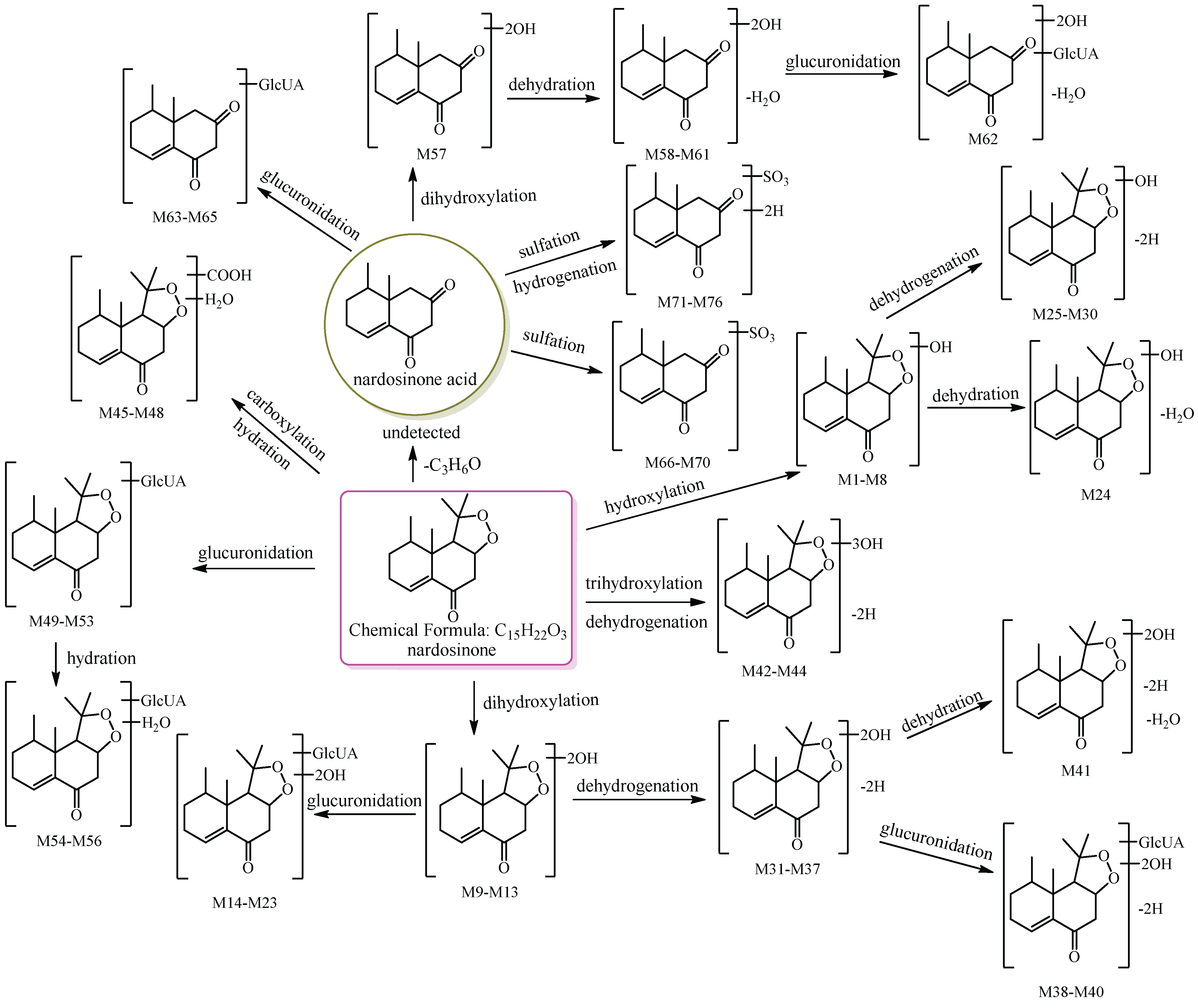Molecules 27 07267 g001 Molecules 27 07267 g001