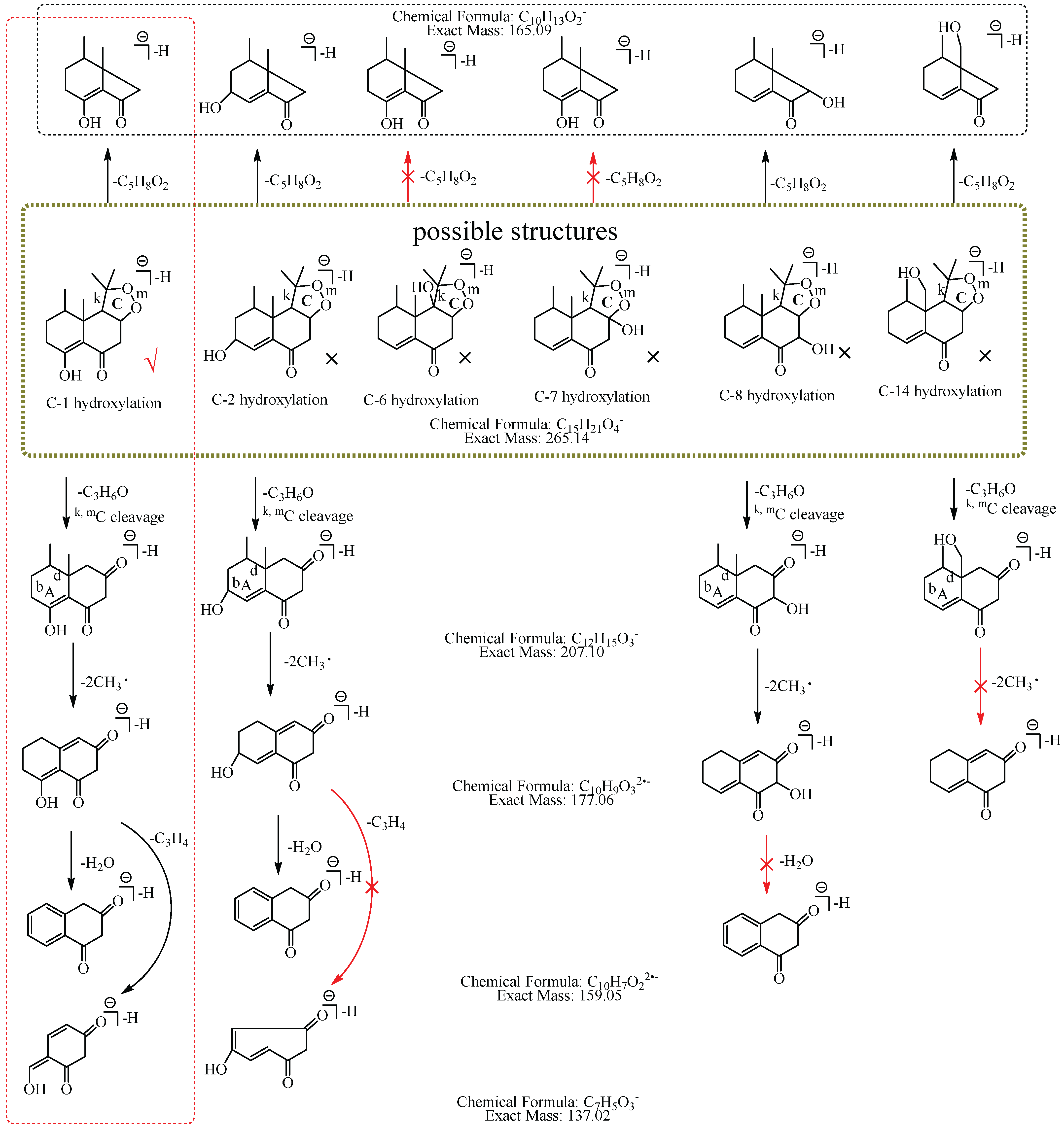 Molecules 27 07267 g008 Molecules 27 07267 g008