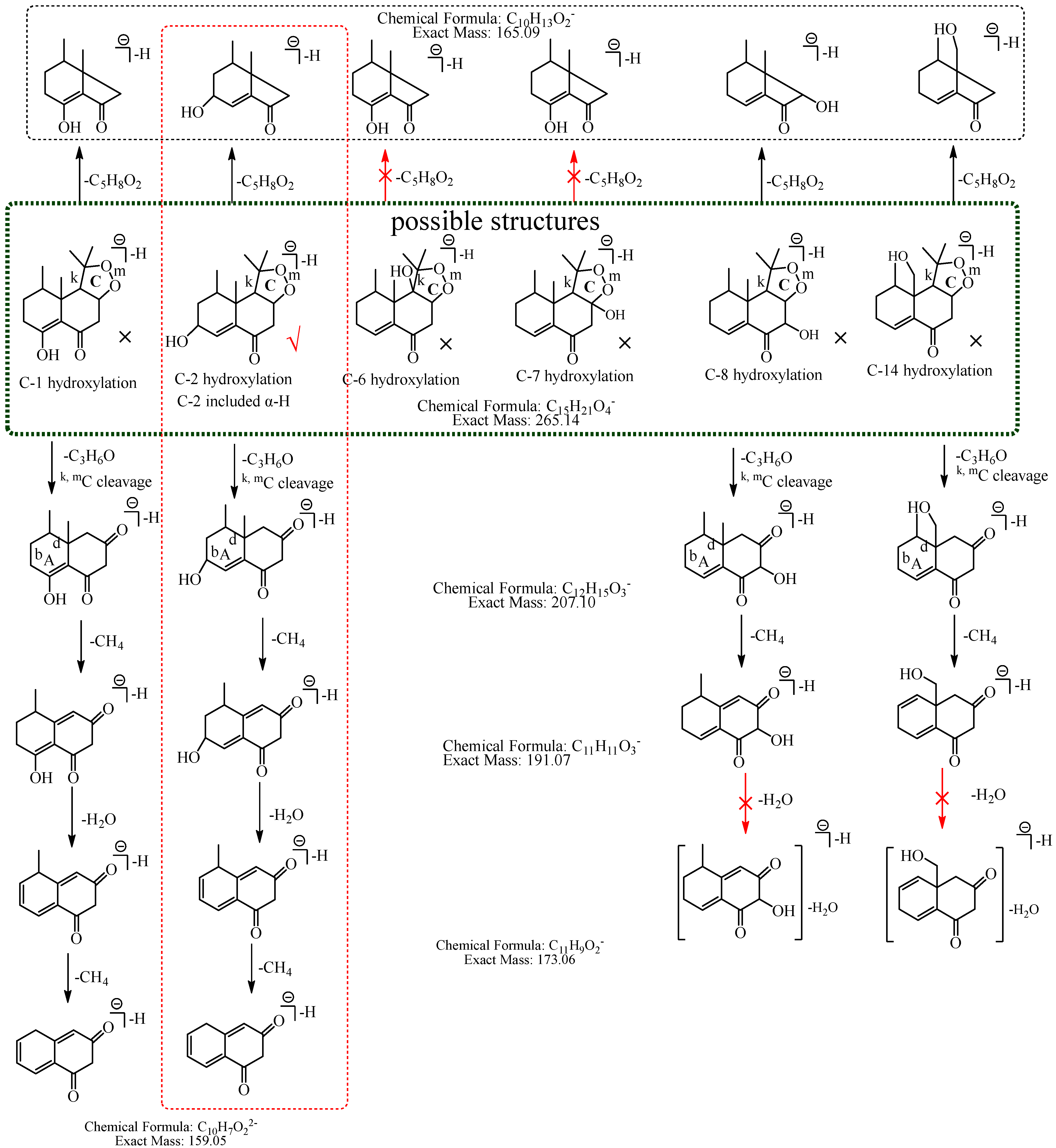 Molecules 27 07267 g009 Molecules 27 07267 g009