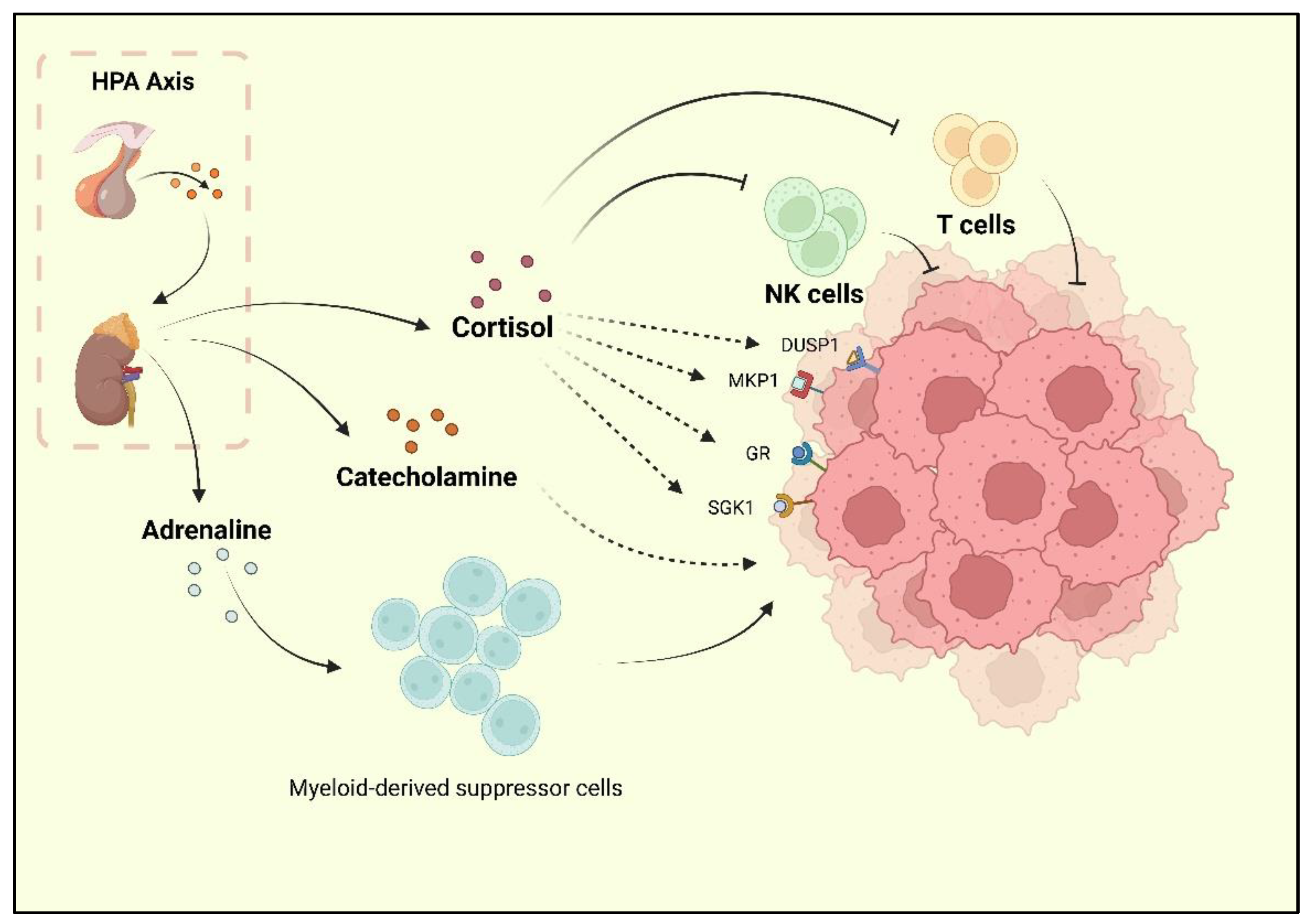 Molecules 27 07269 g001 Molecules 27 07269 g001