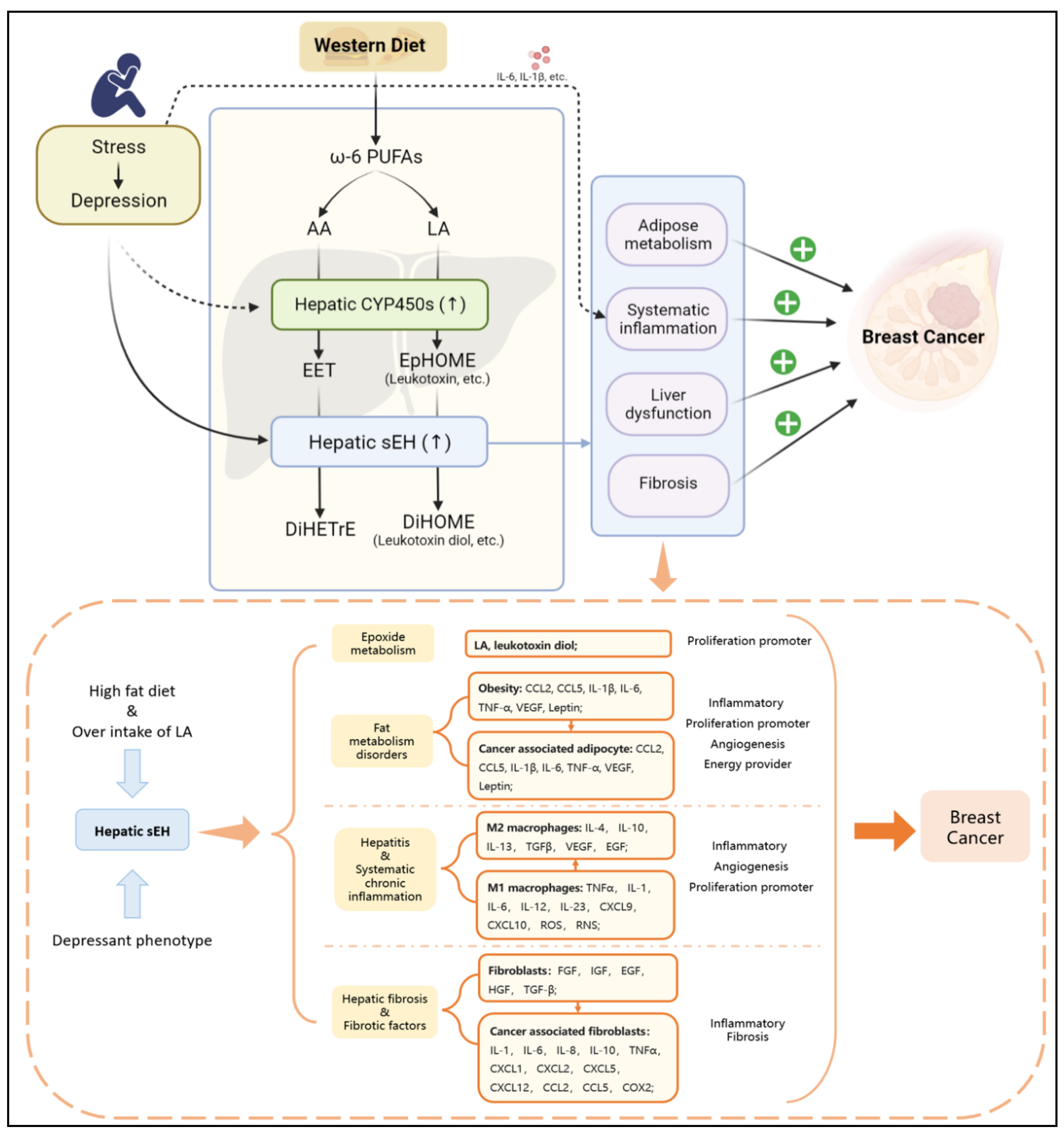 Molecules 27 07269 g003 Molecules 27 07269 g003