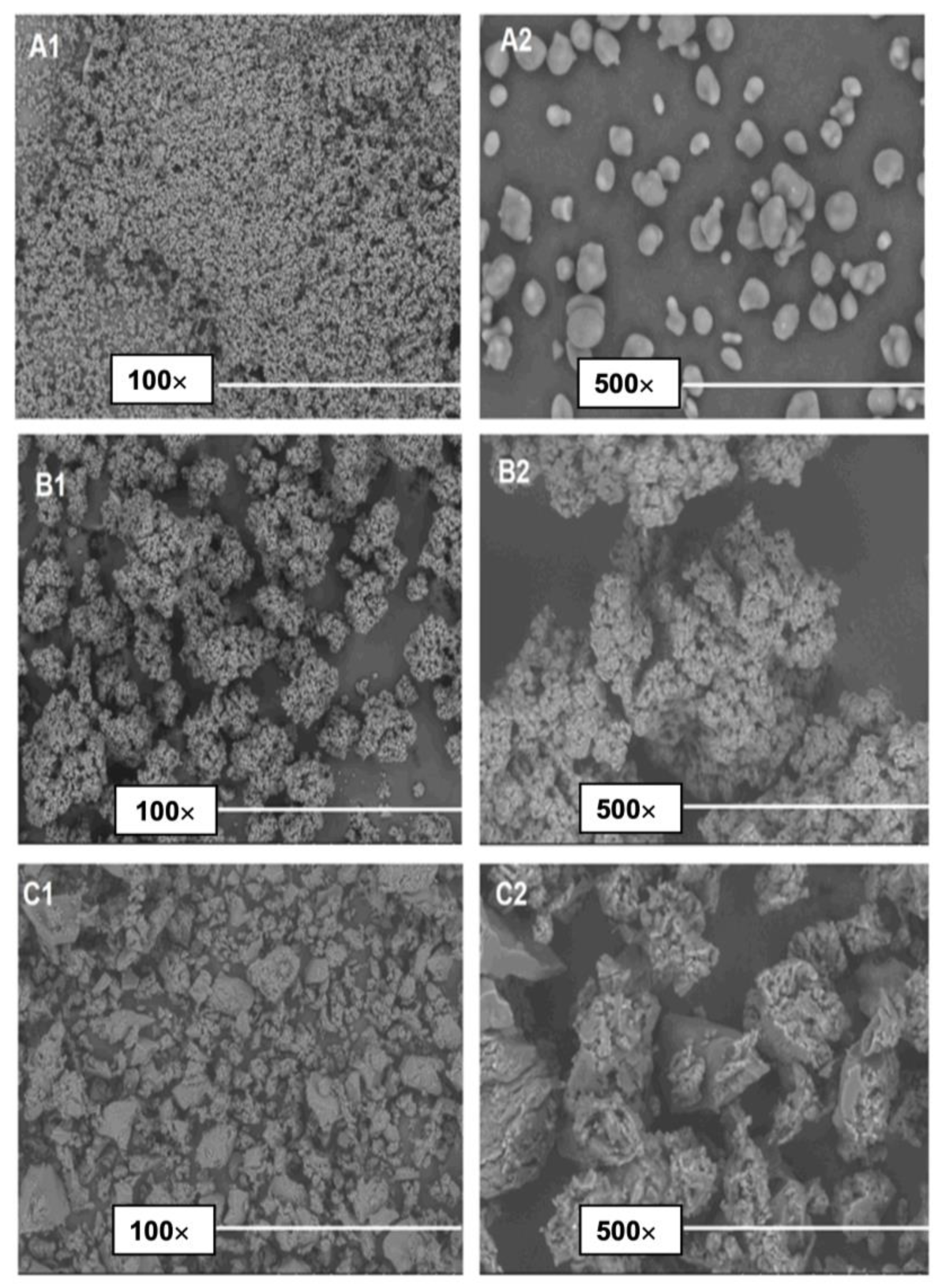 Molecules 27 07271 g001