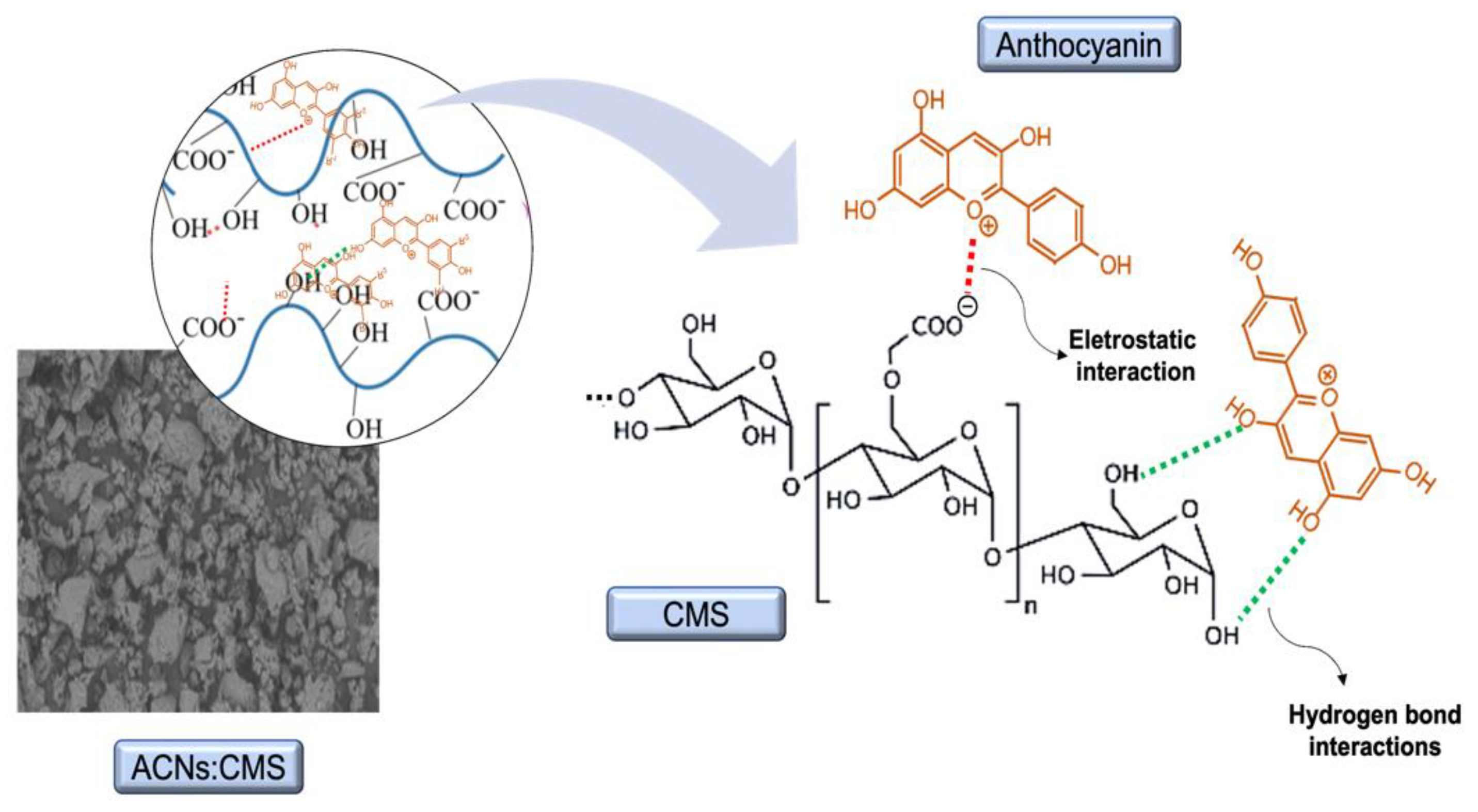 Molecules 27 07271 sch002