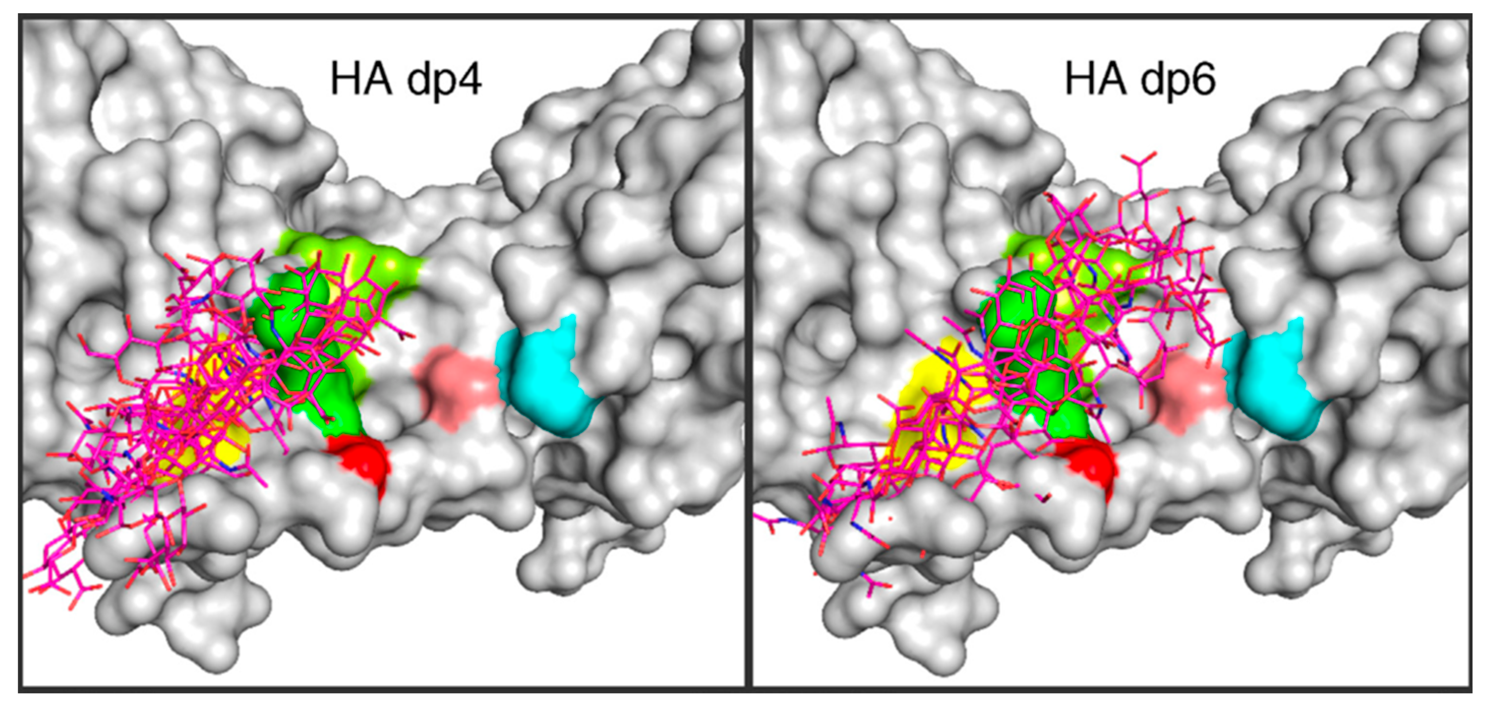 Molecules 27 07276 g006 Molecules 27 07276 g006