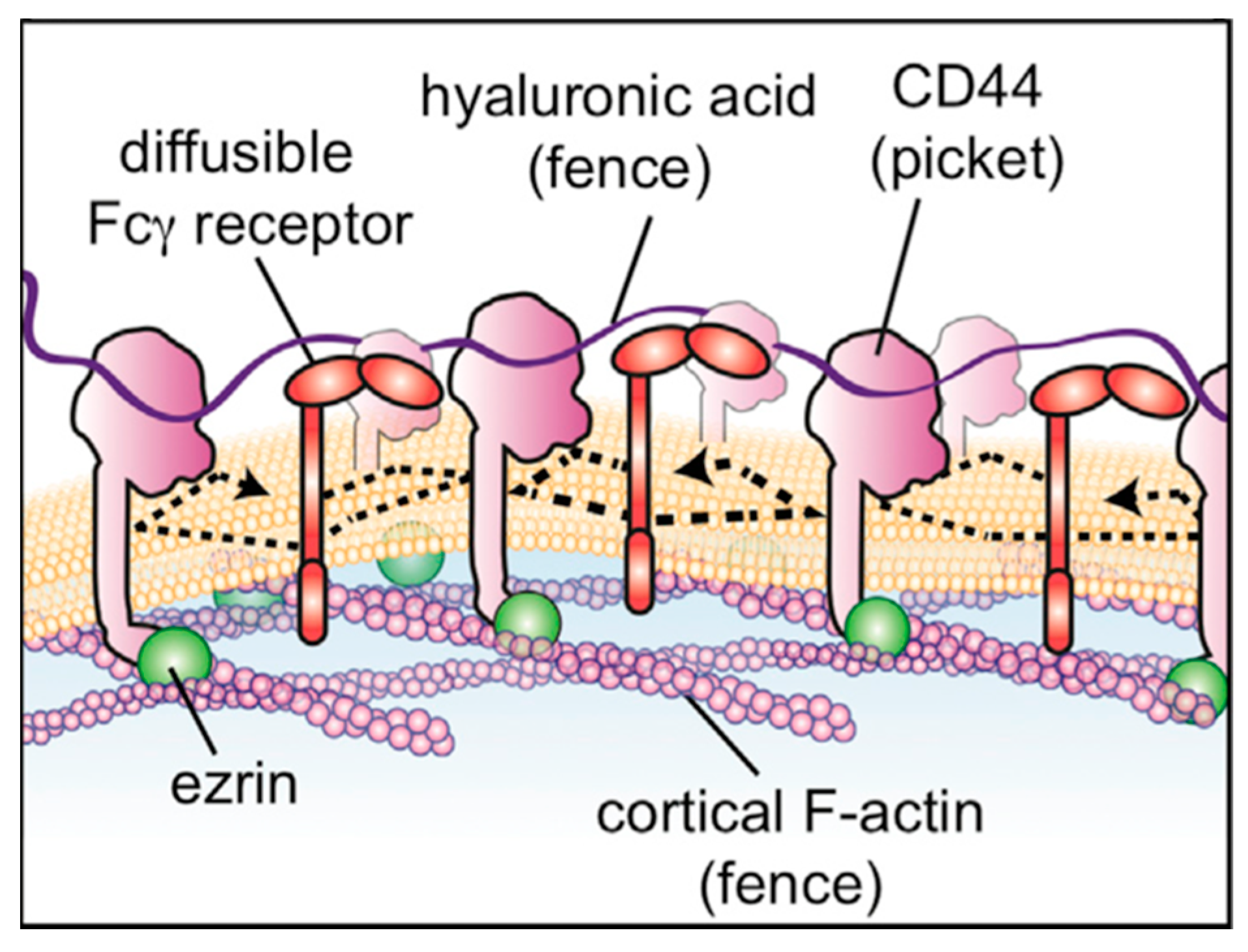 Molecules 27 07276 g008 Molecules 27 07276 g008