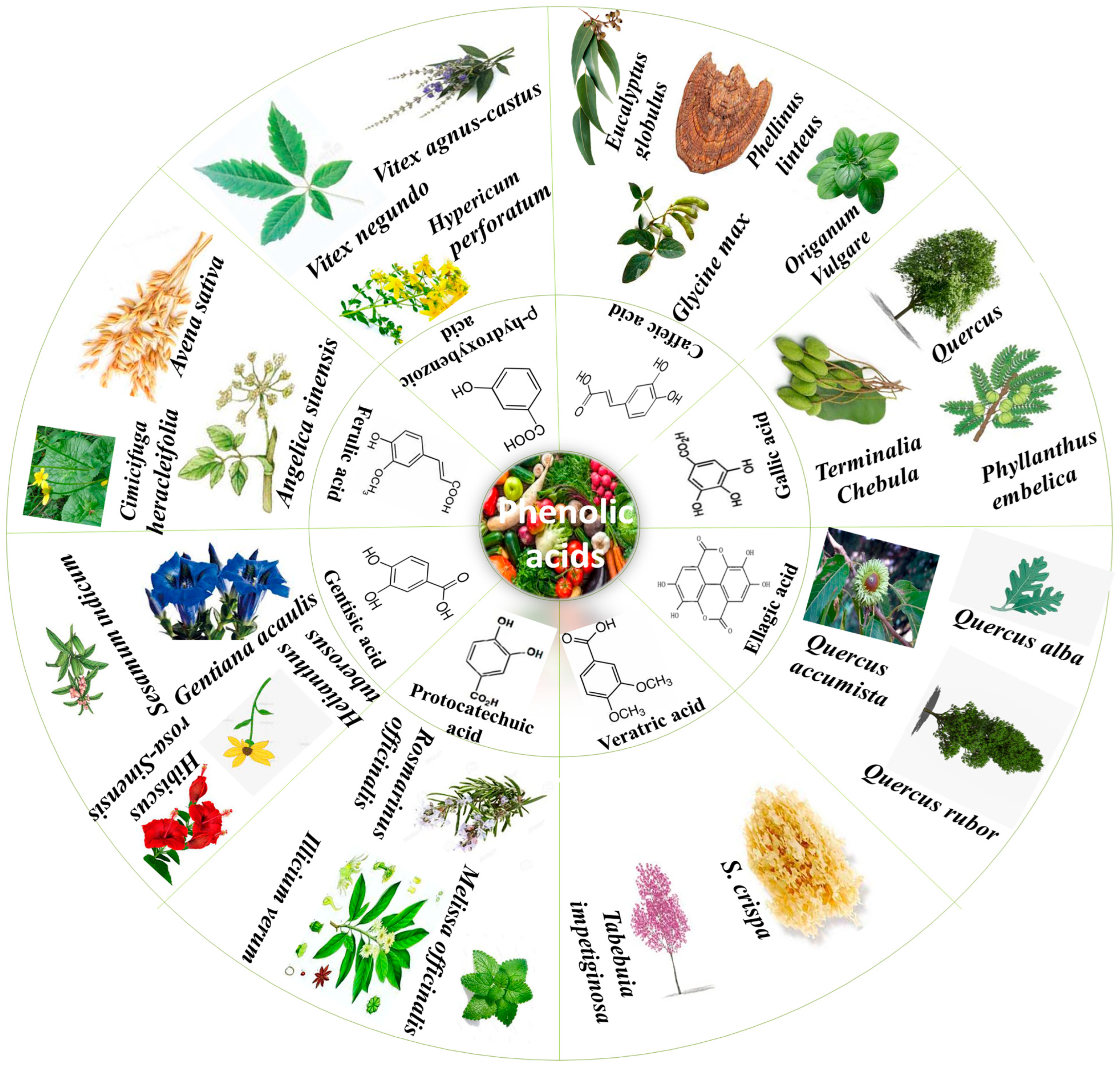 Molecules 27 07286 g001 Molecules 27 07286 g001