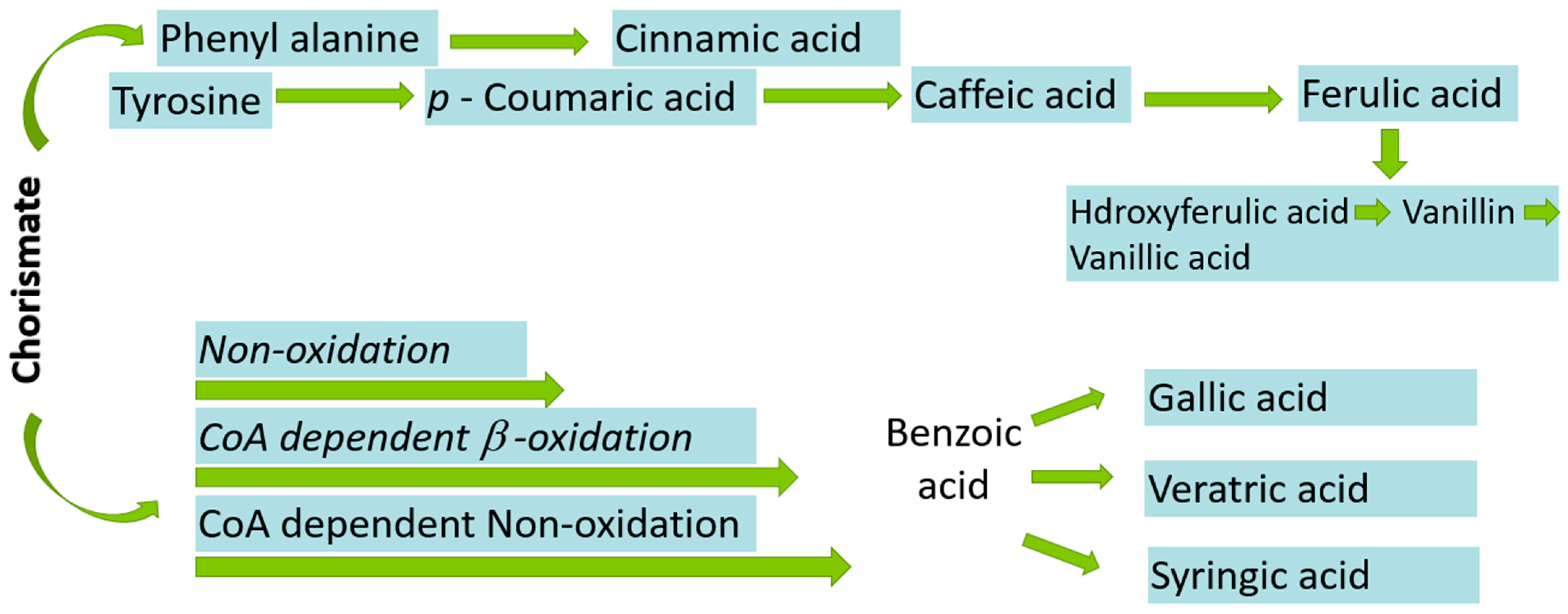 Molecules 27 07286 g005 Molecules 27 07286 g005