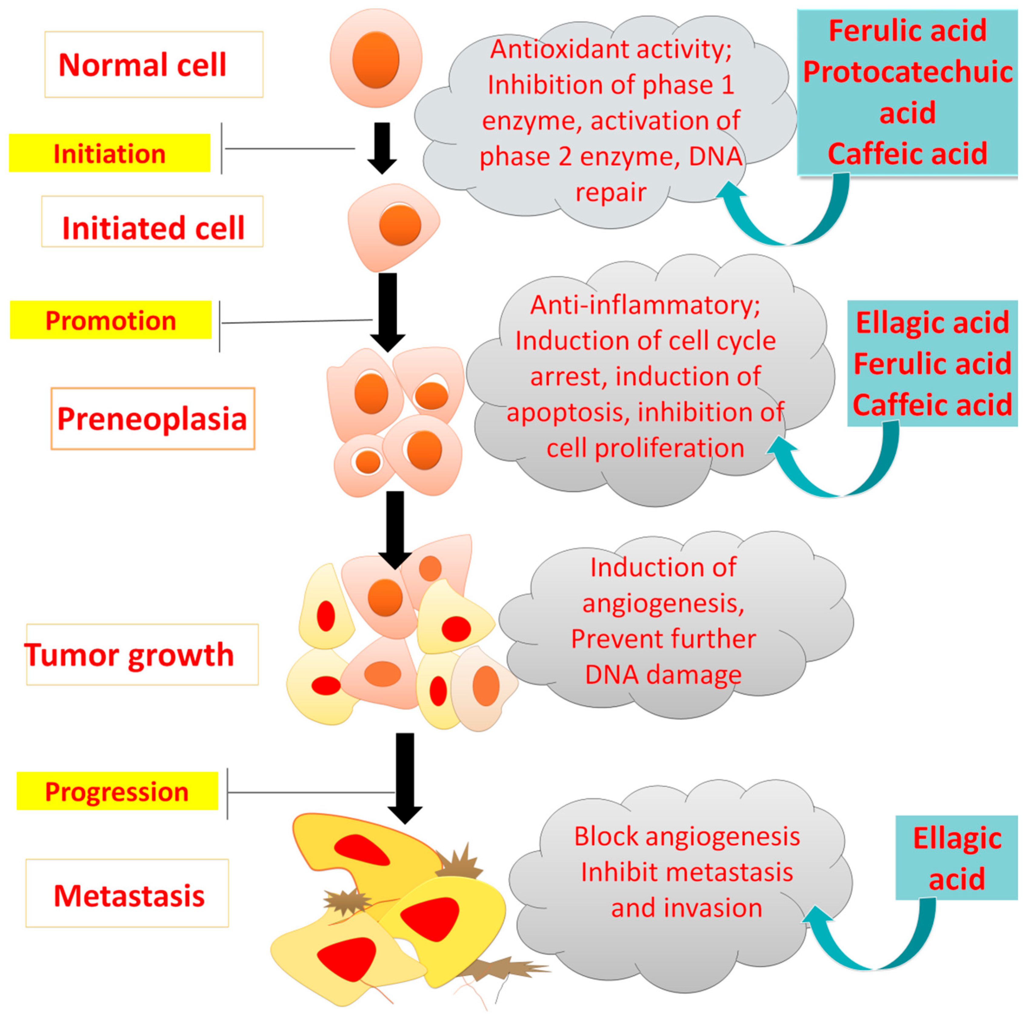 Molecules 27 07286 g008 Molecules 27 07286 g008