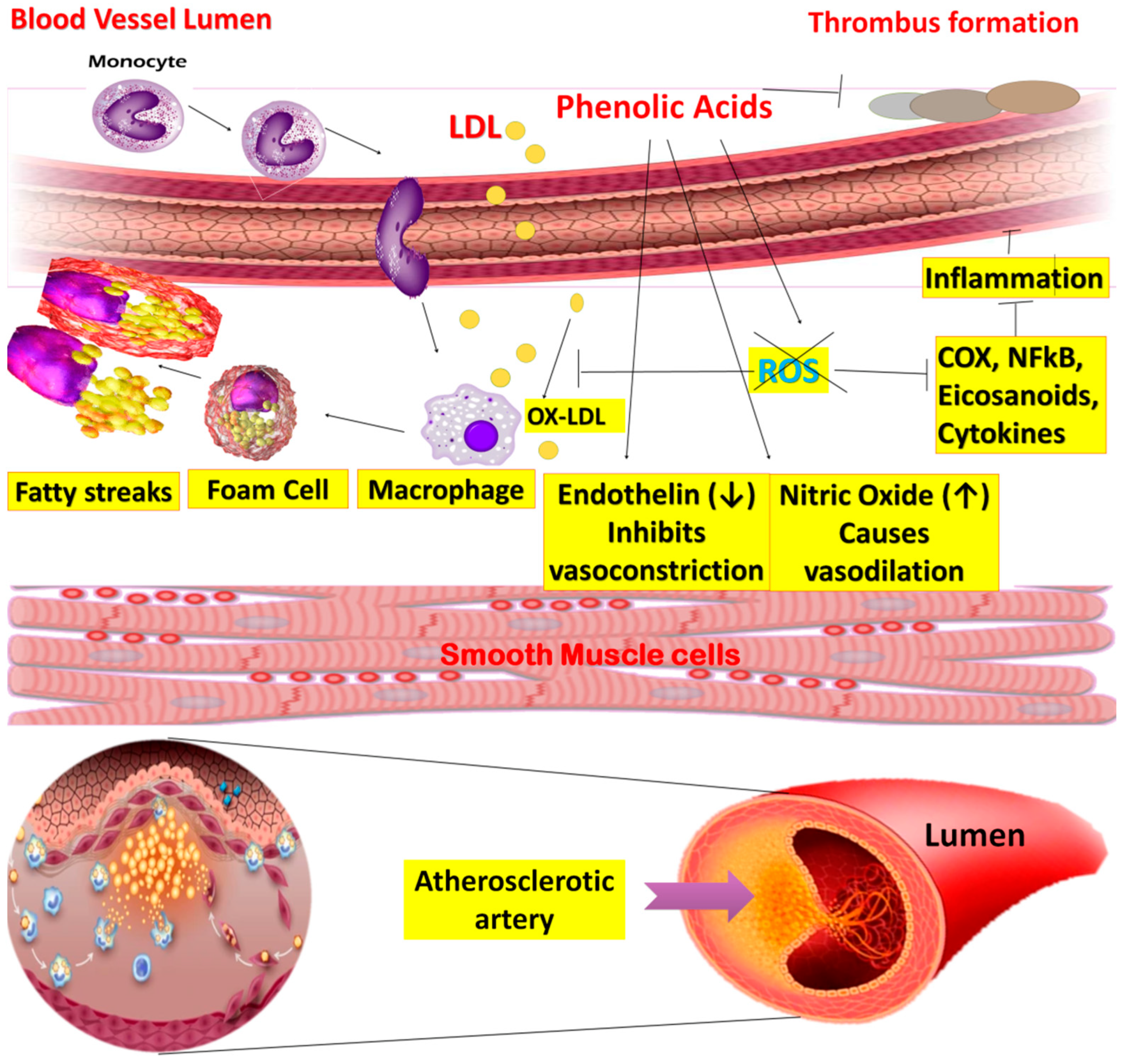Molecules 27 07286 g010 Molecules 27 07286 g010