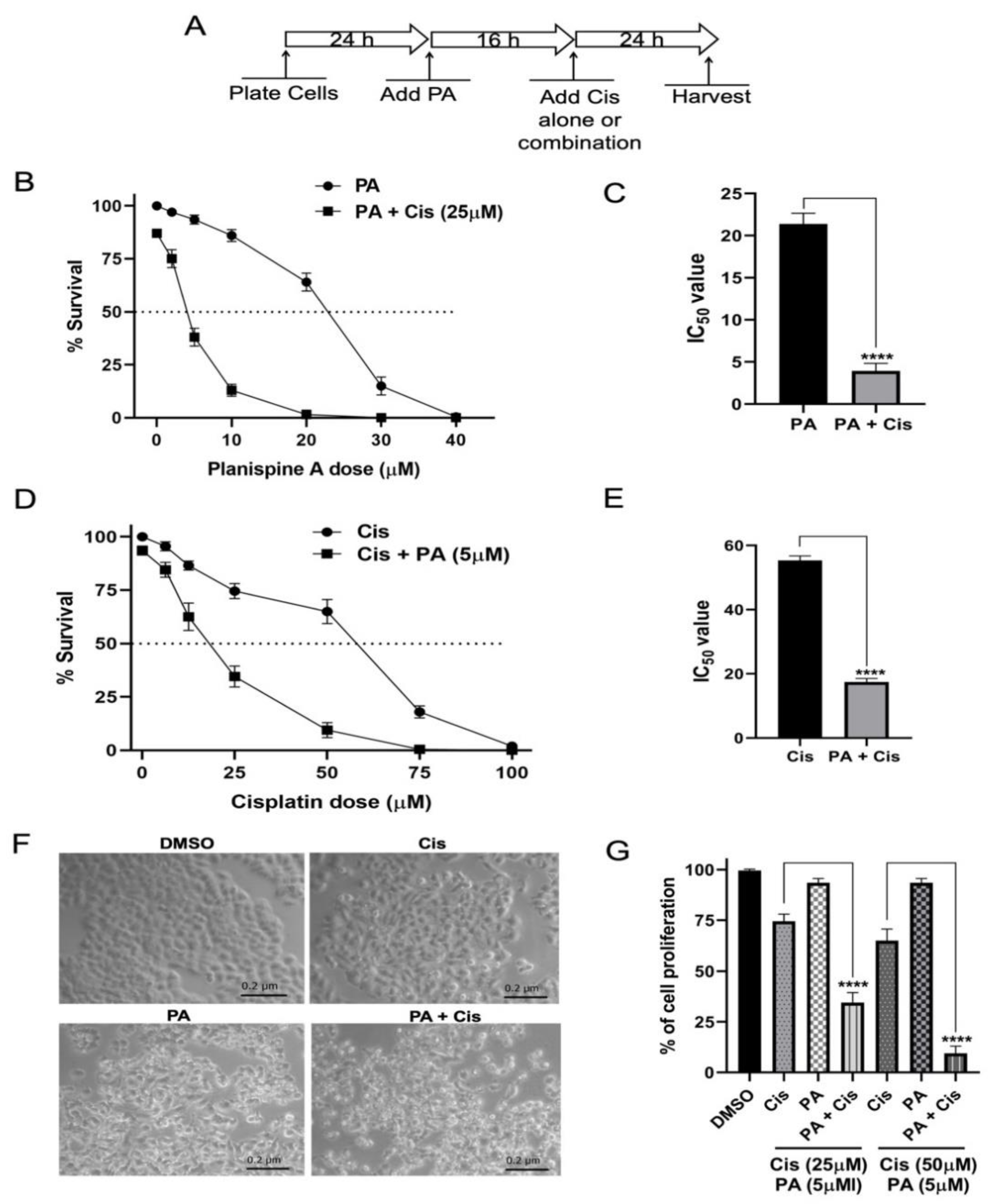 Molecules 27 07288 g003 Molecules 27 07288 g003