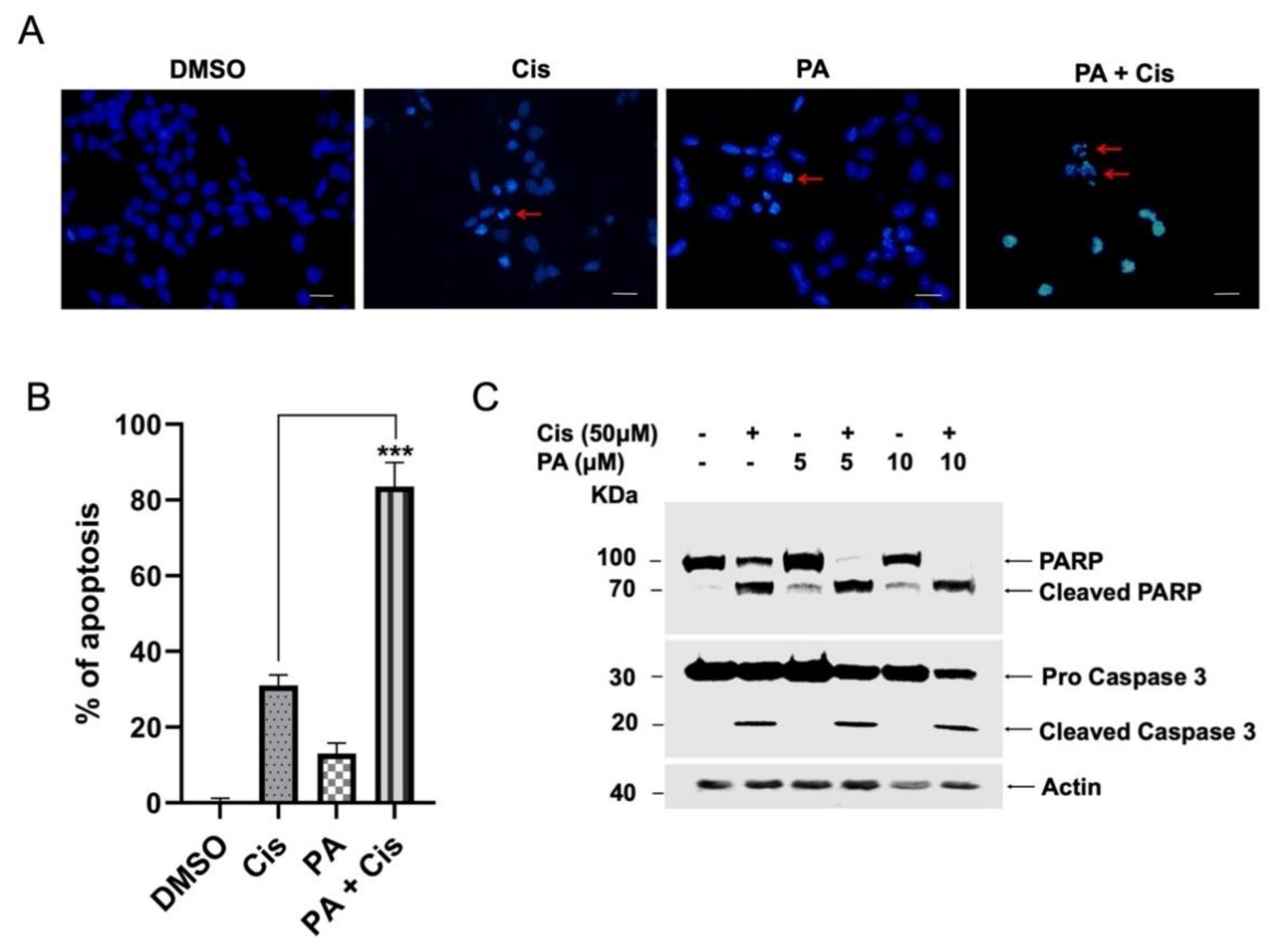 Molecules 27 07288 g004 Molecules 27 07288 g004
