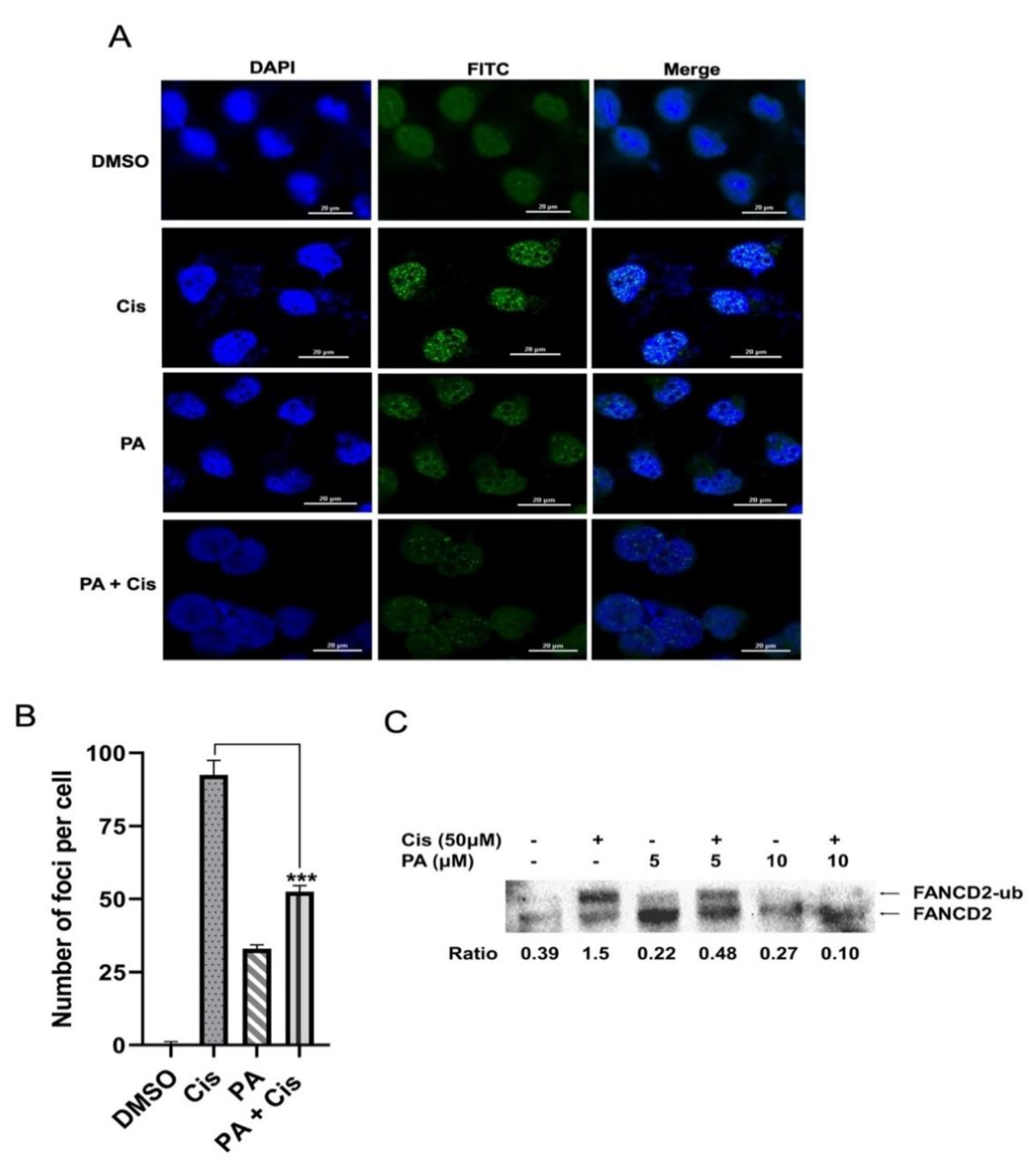 Molecules 27 07288 g006 Molecules 27 07288 g006
