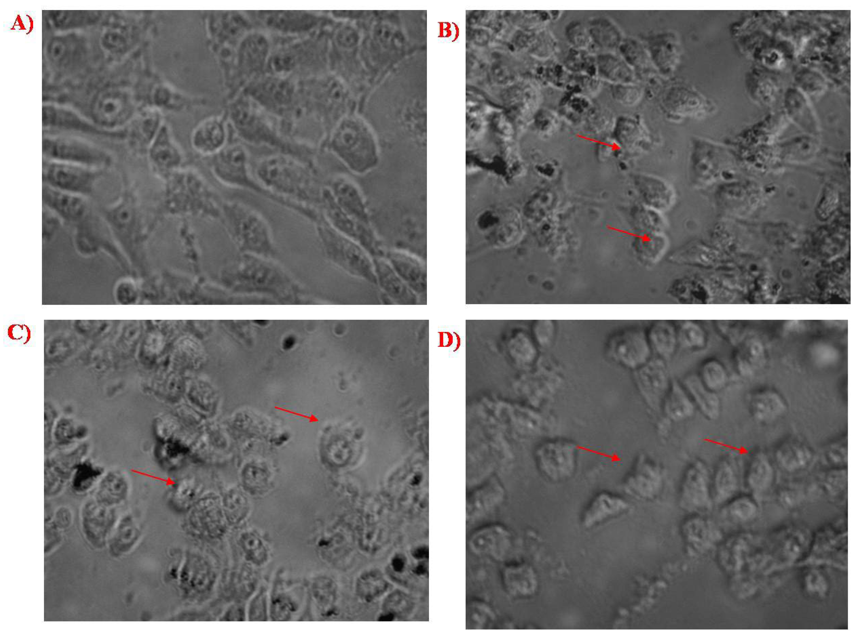 Molecules 27 07290 g009 Molecules 27 07290 g009