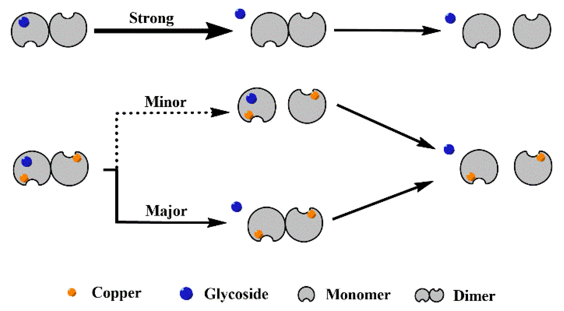Molecules 27 07303 g004