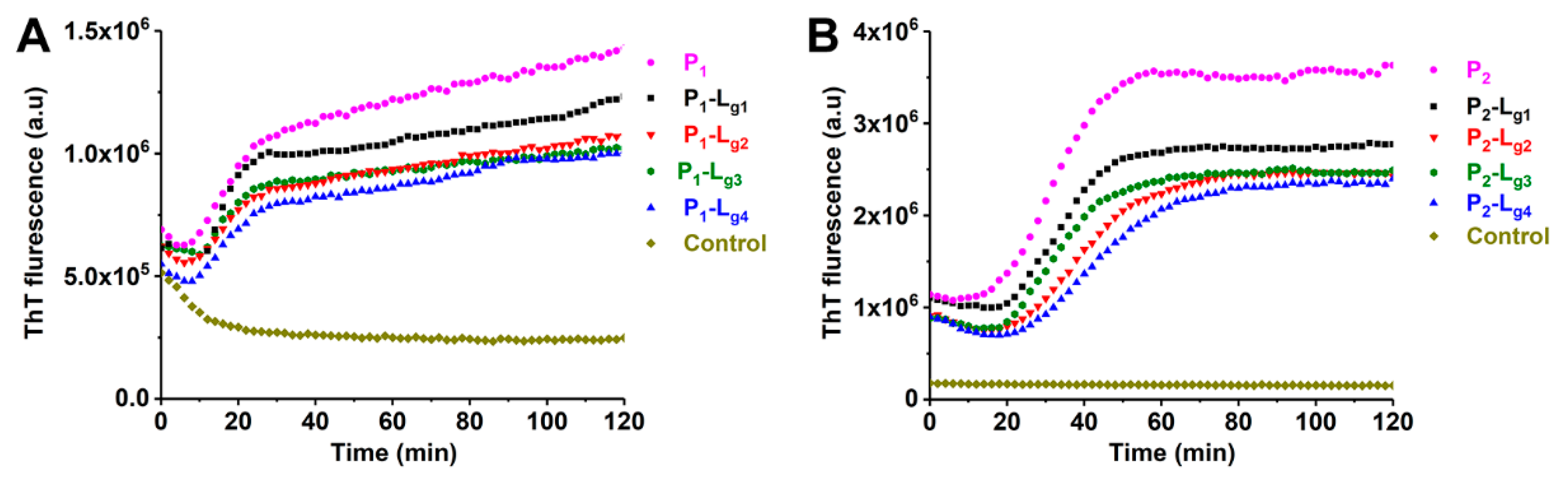 Molecules 27 07303 g007