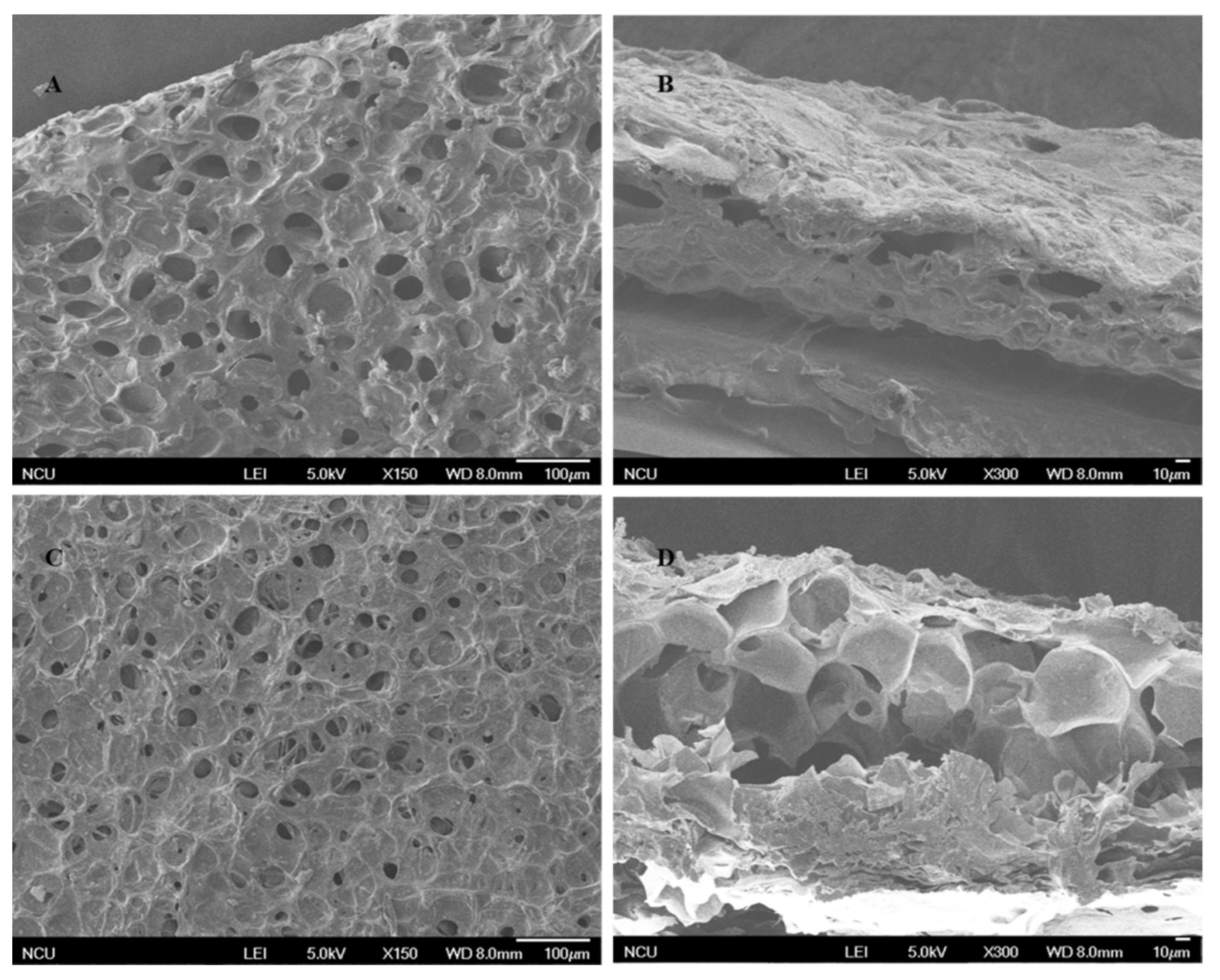 Molecules 27 07304 g001 Molecules 27 07304 g001