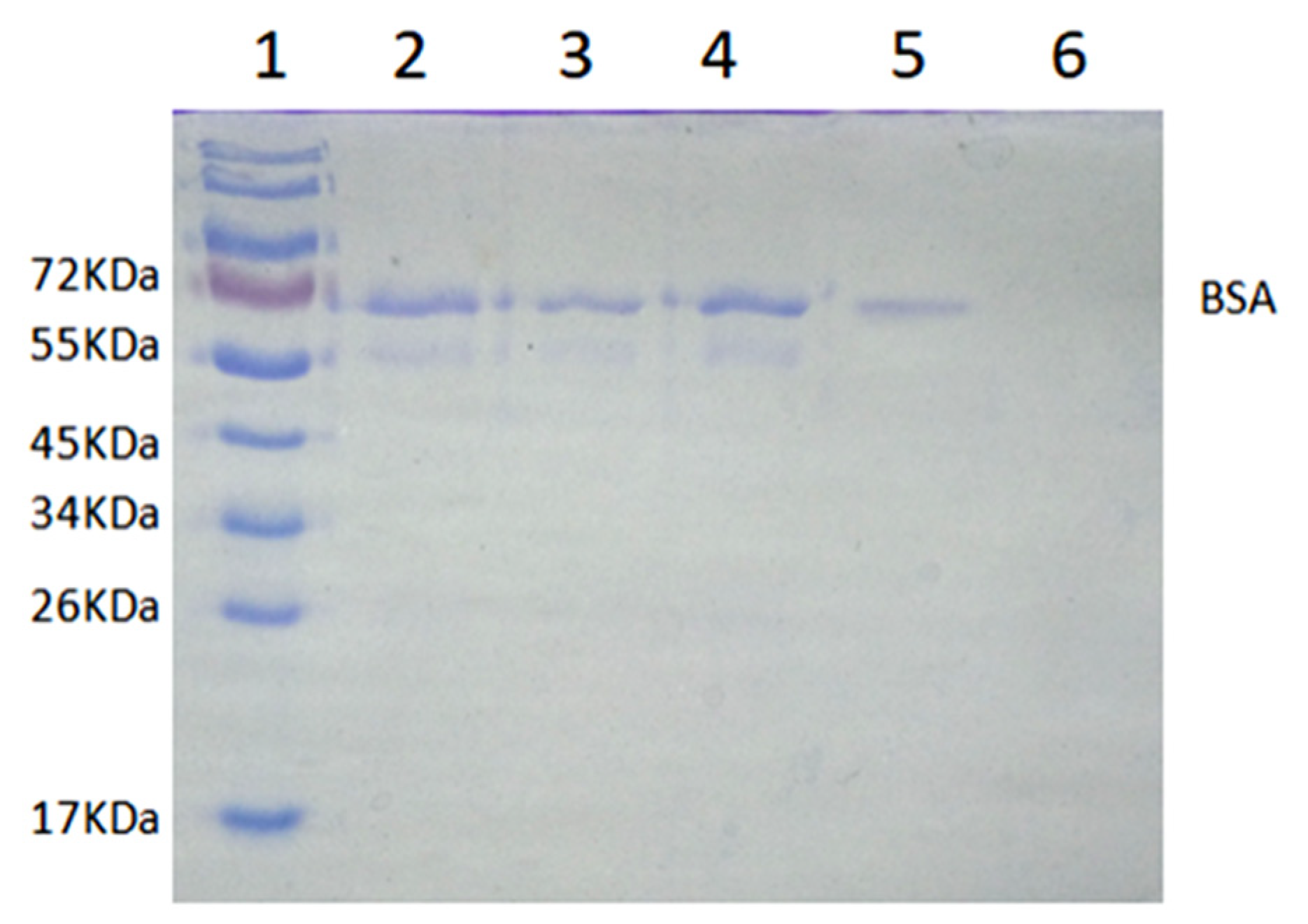 Molecules 27 07304 g011 Molecules 27 07304 g011
