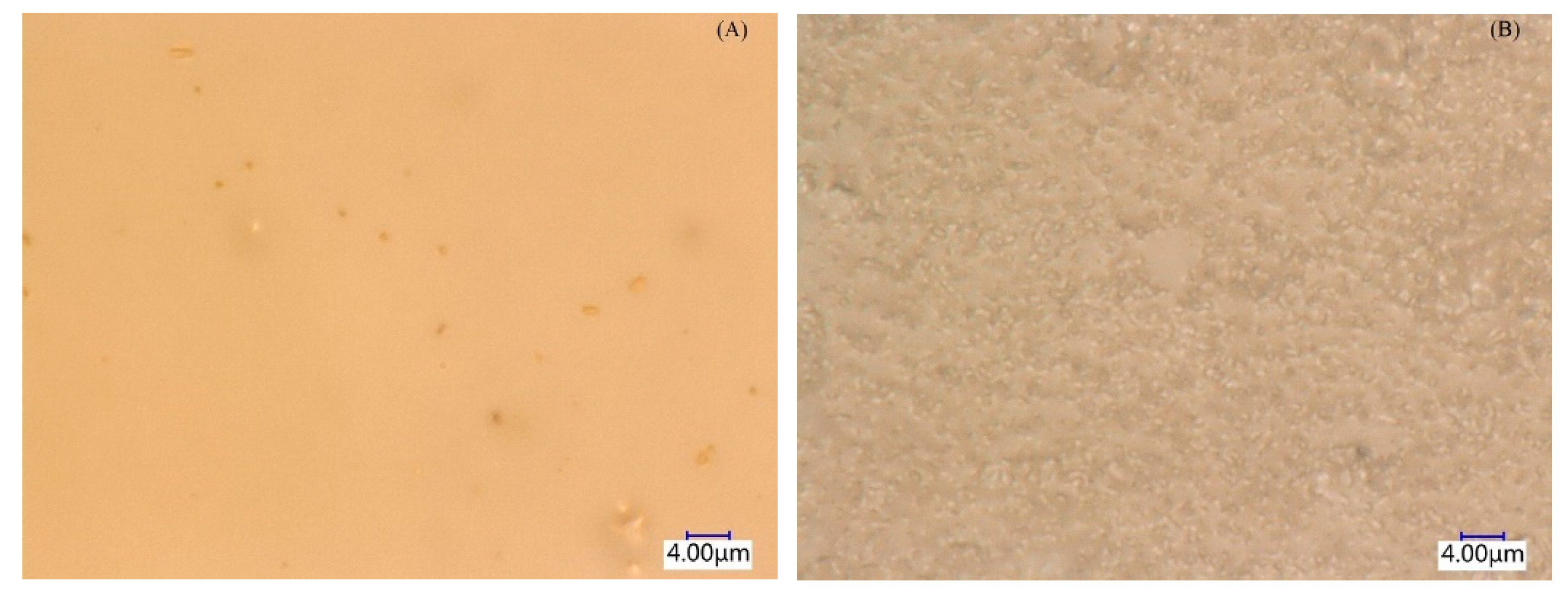 Molecules 27 07308 g011