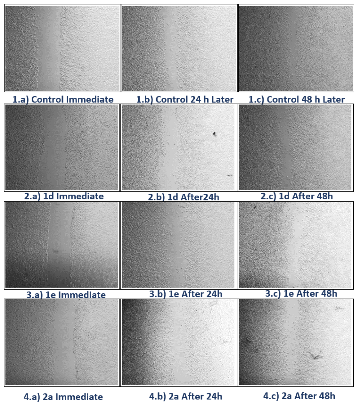 Molecules 27 07309 g004 Molecules 27 07309 g004