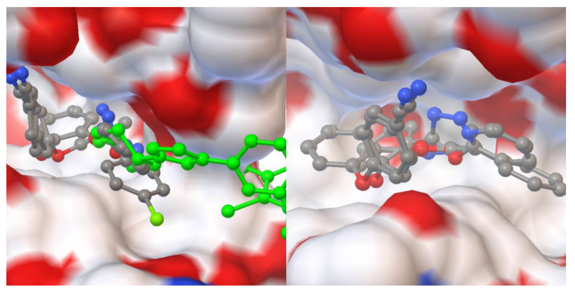 Molecules 27 07309 g009 Molecules 27 07309 g009
