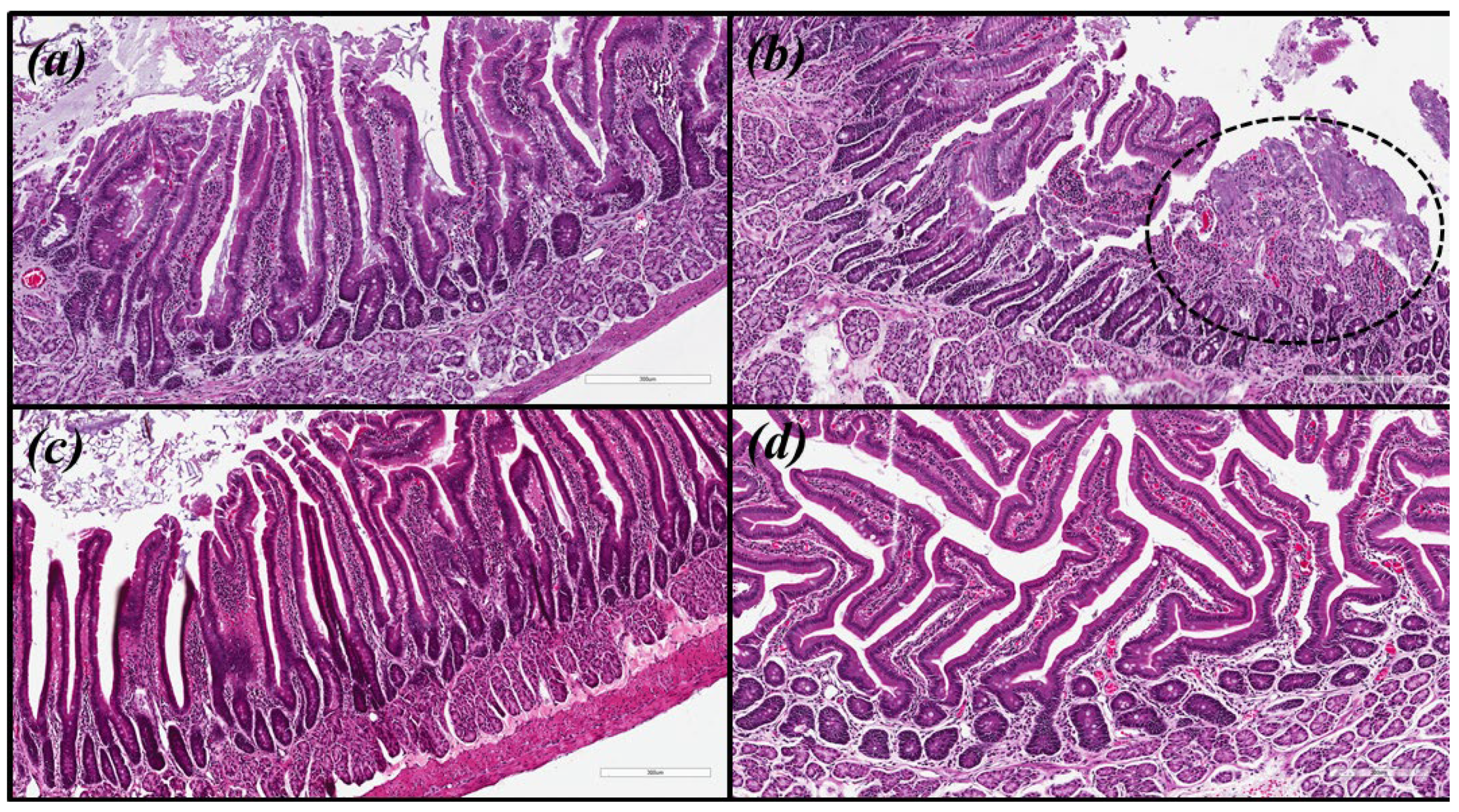 Molecules 27 07310 g003 Molecules 27 07310 g003