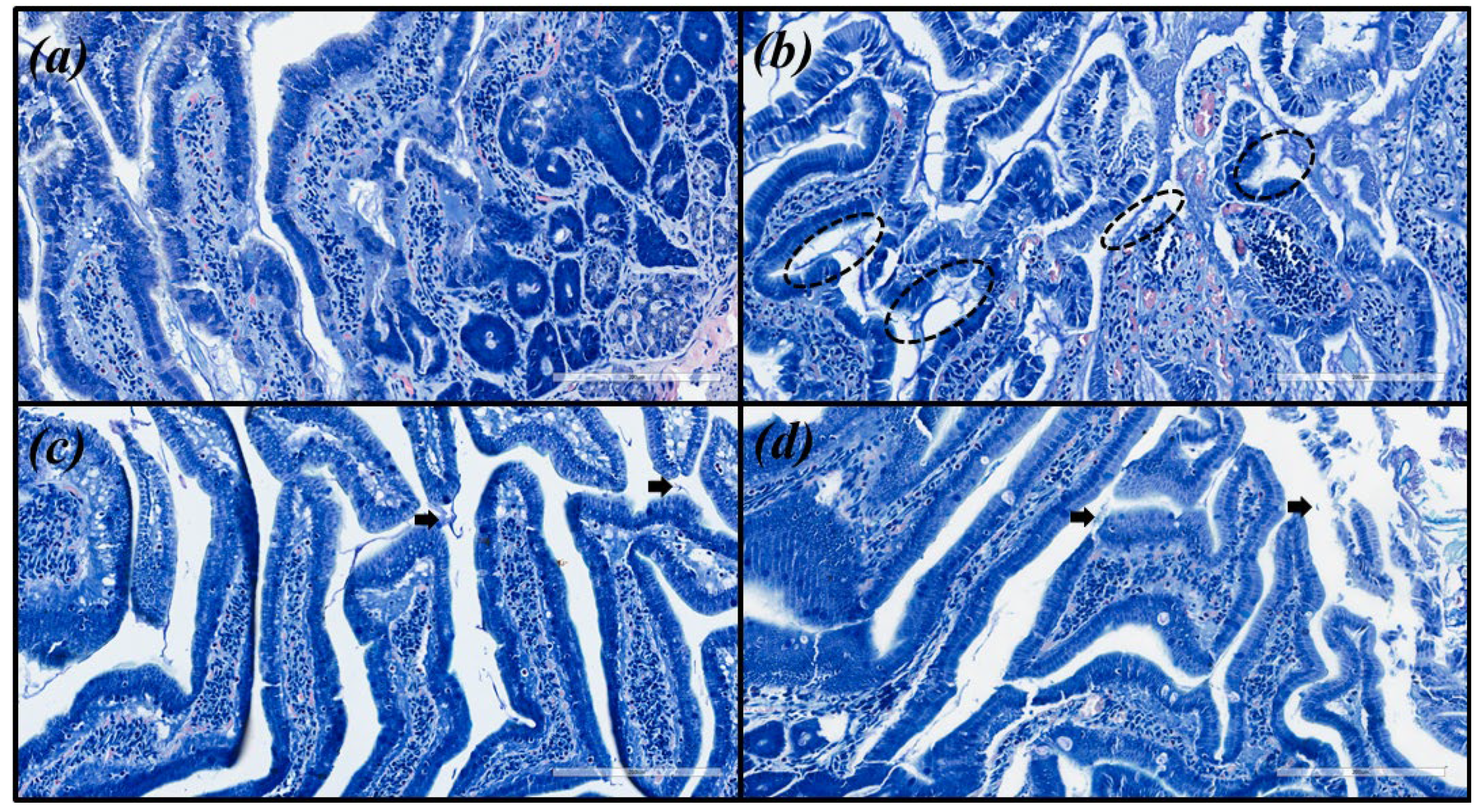 Molecules 27 07310 g004 Molecules 27 07310 g004