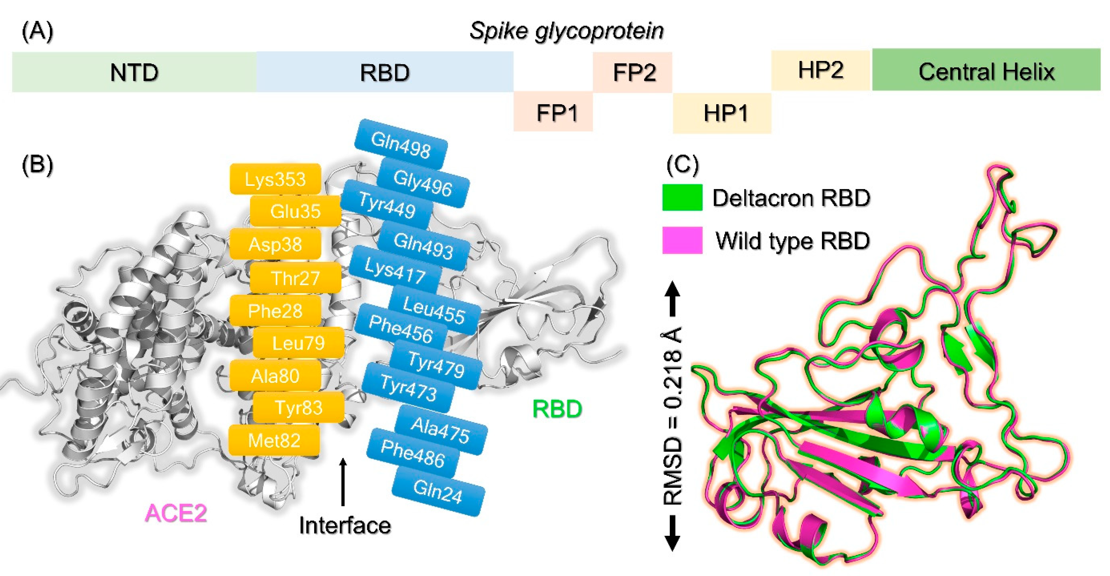 Molecules 27 07317 g002 Molecules 27 07317 g002