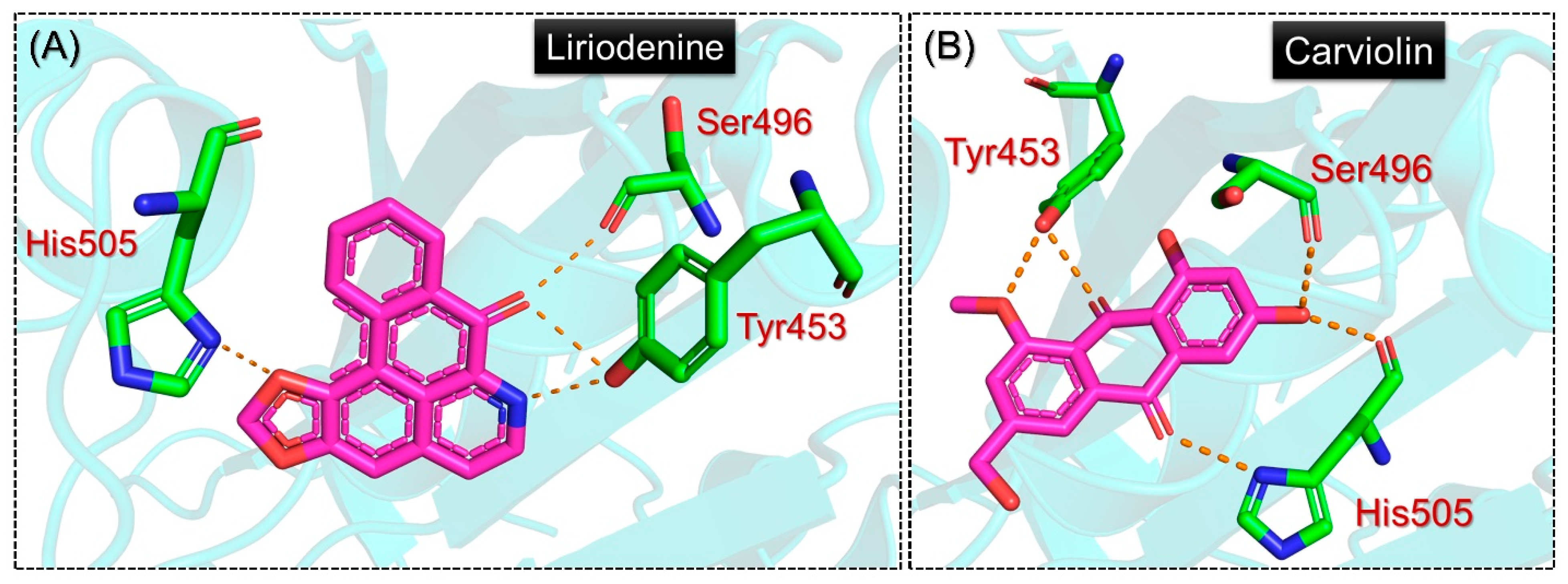 Molecules 27 07317 g004 Molecules 27 07317 g004