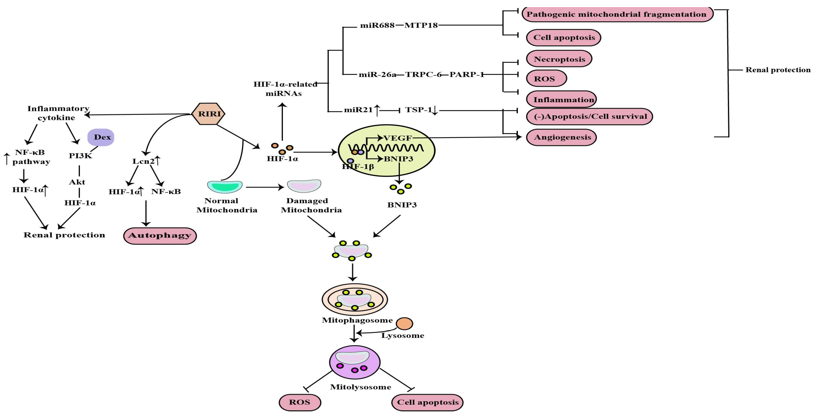 Molecules 27 07318 g002 Molecules 27 07318 g002