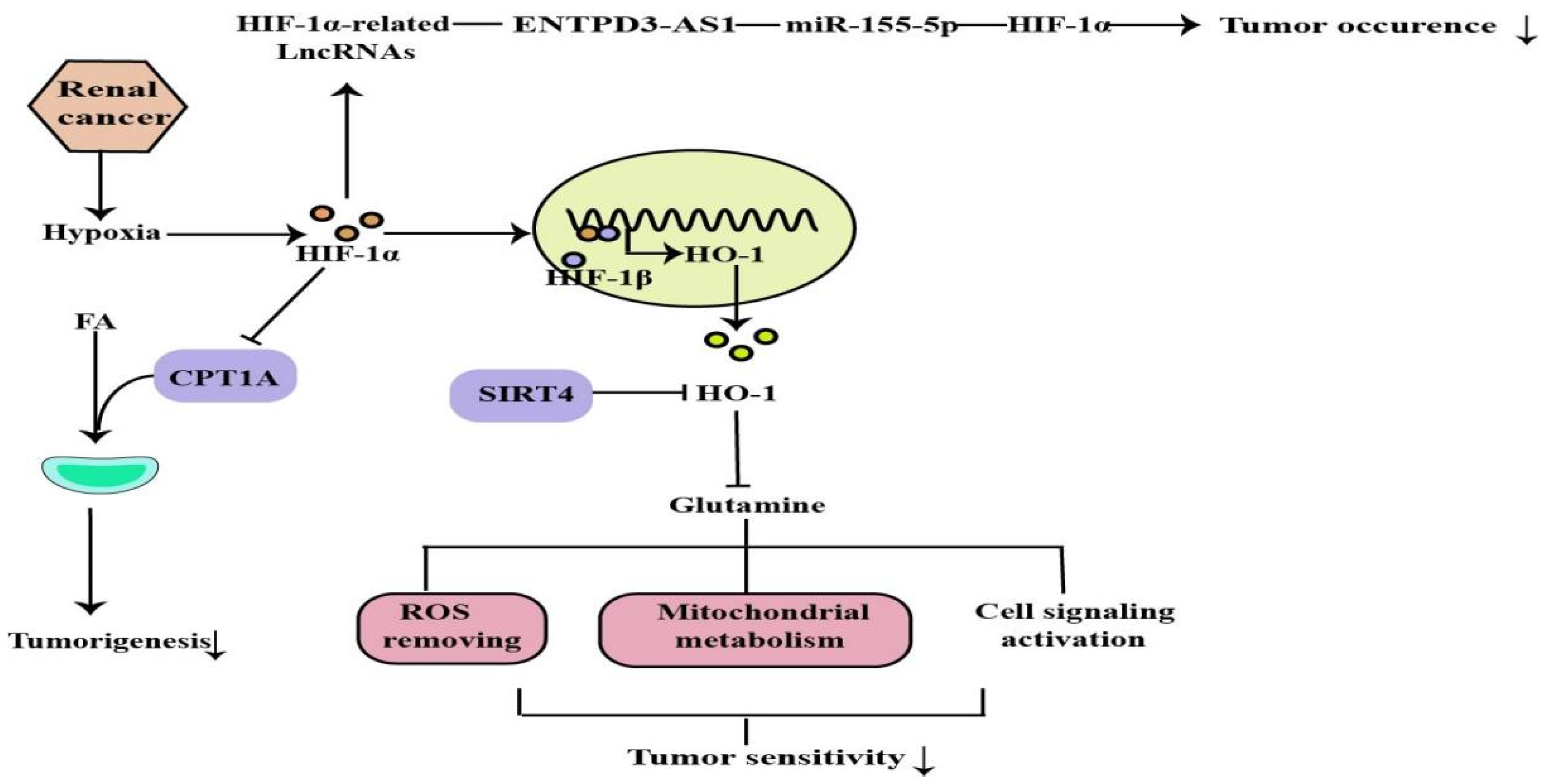 Molecules 27 07318 g005 Molecules 27 07318 g005