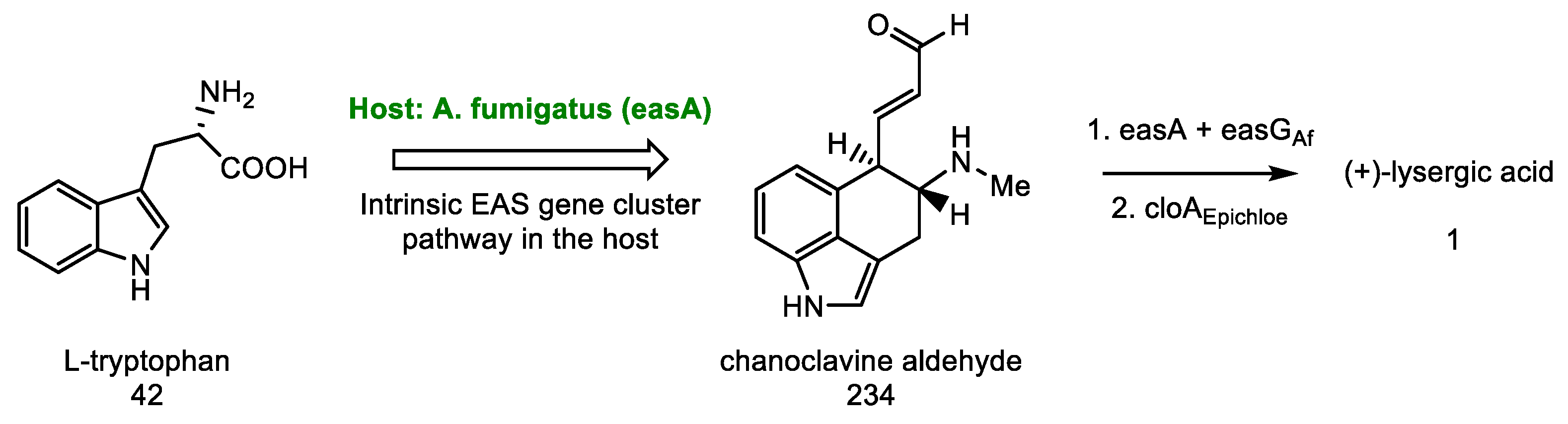 Molecules 27 07322 sch091 Molecules 27 07322 sch091