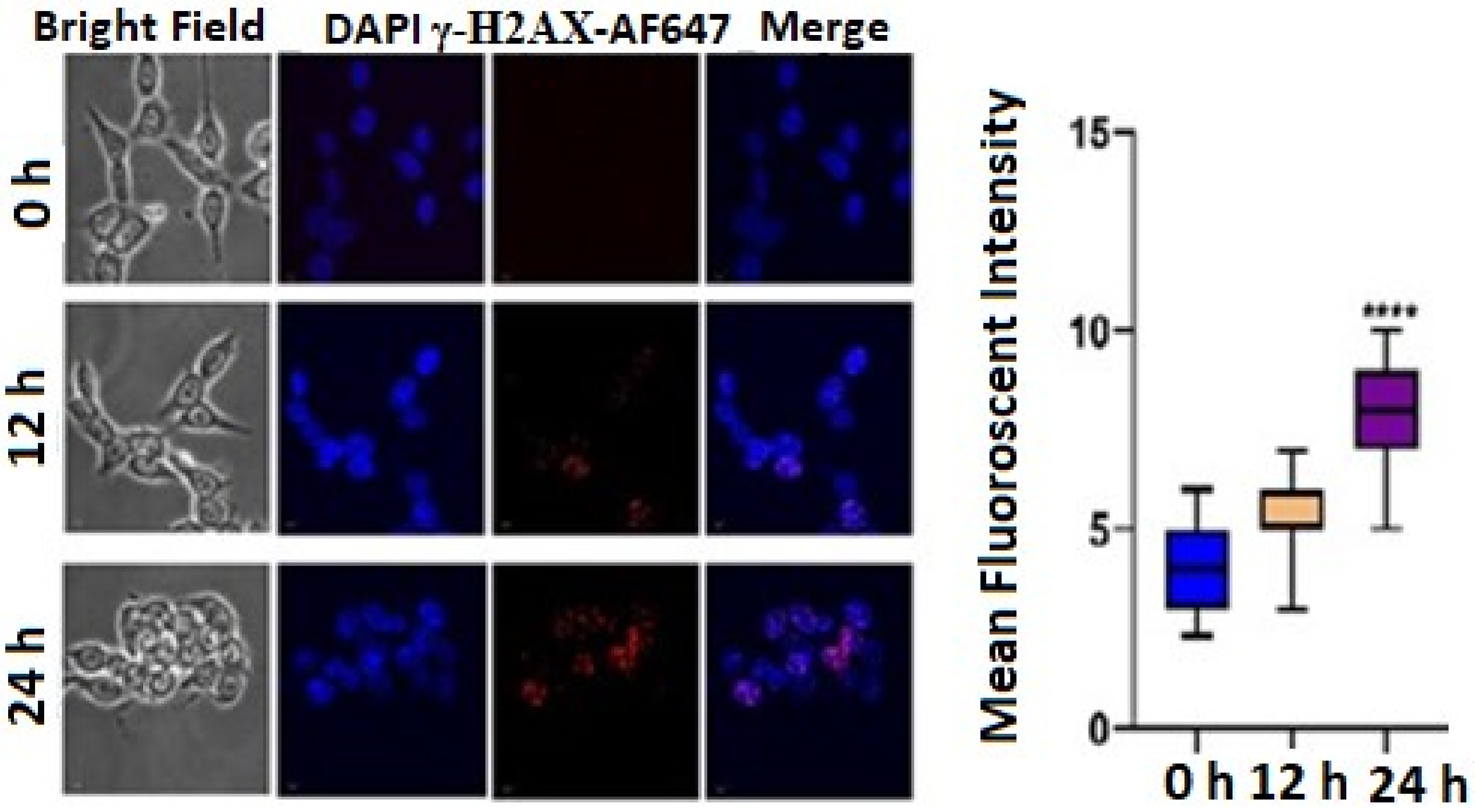 Molecules 27 07326 g005 Molecules 27 07326 g005