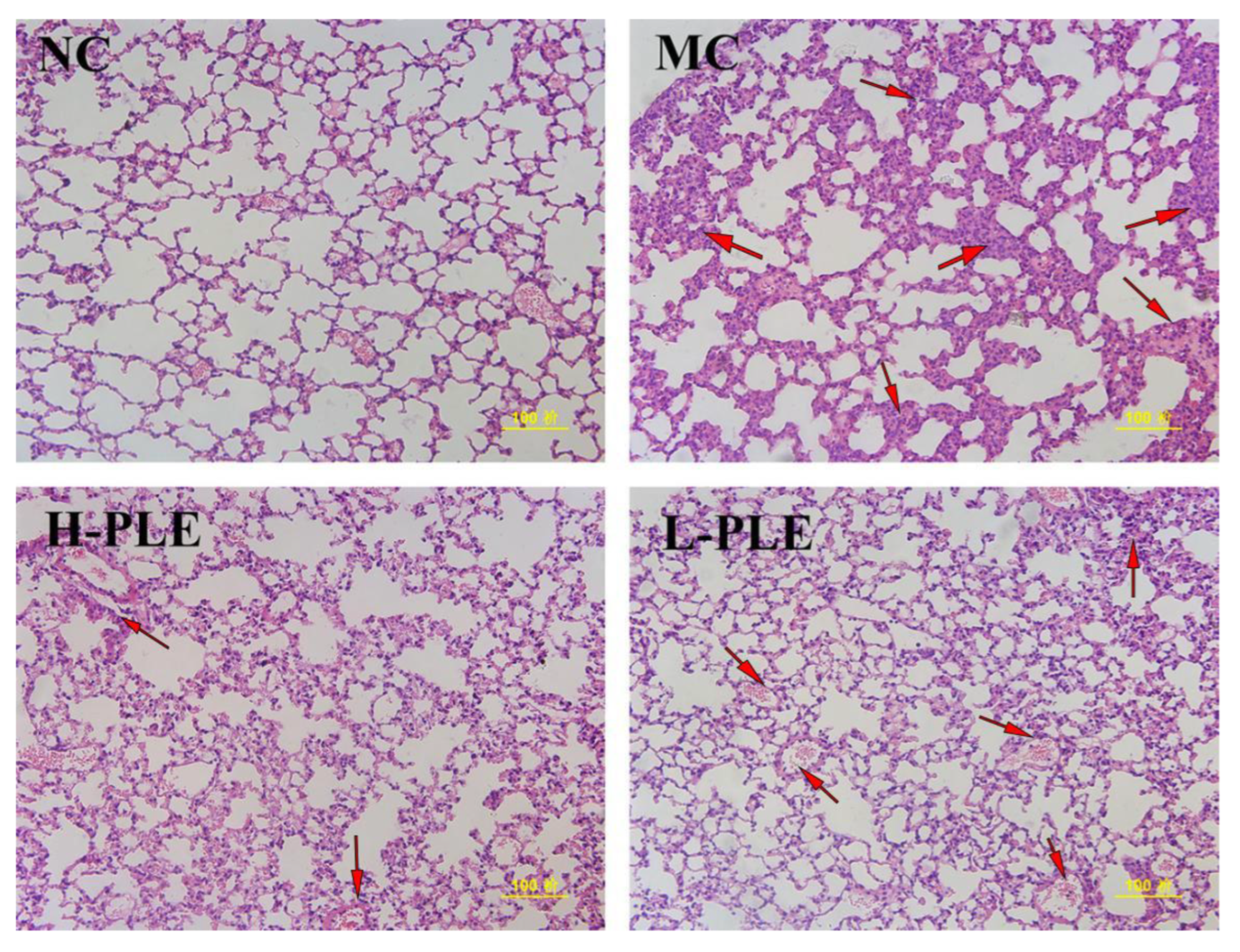 Molecules 27 07328 g007 Molecules 27 07328 g007