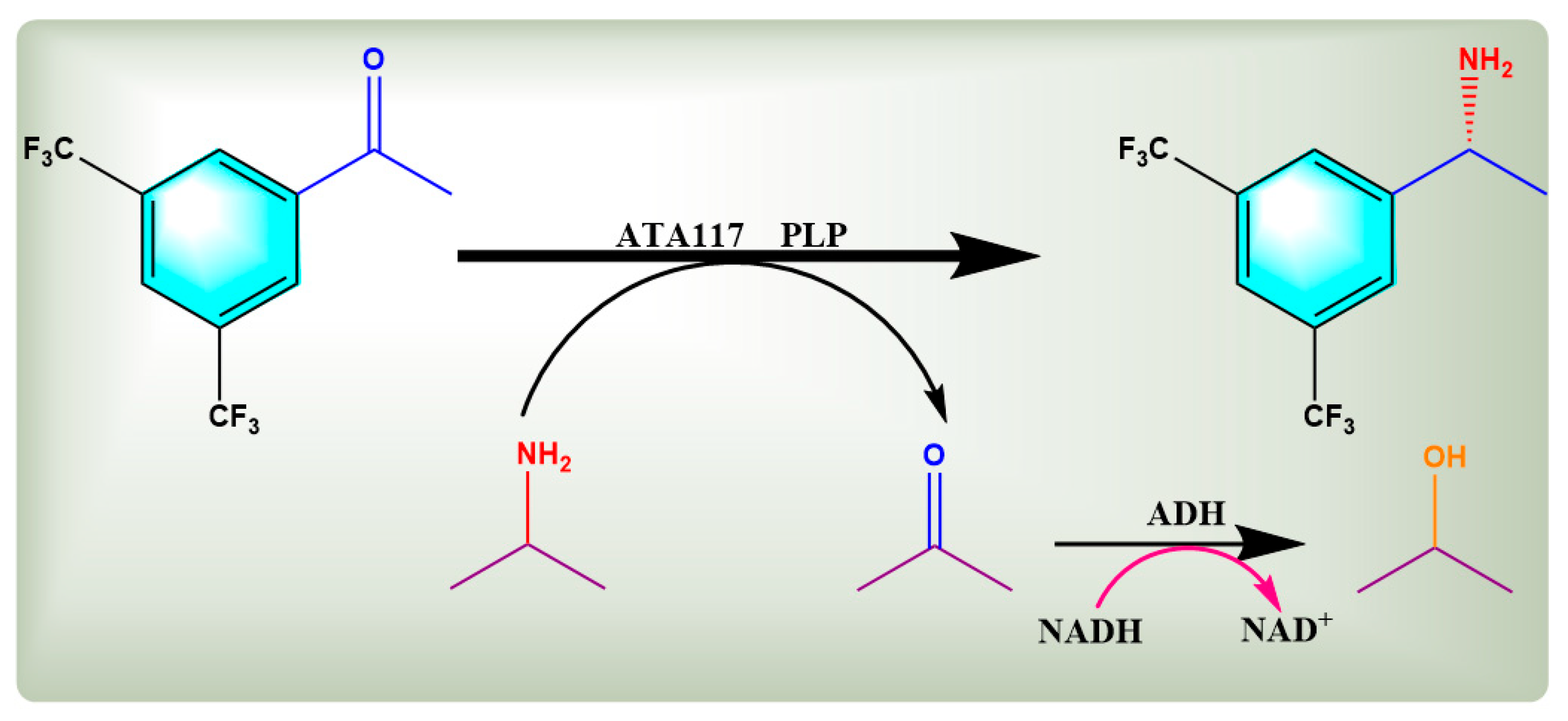 Molecules 27 07331 g001 Molecules 27 07331 g001
