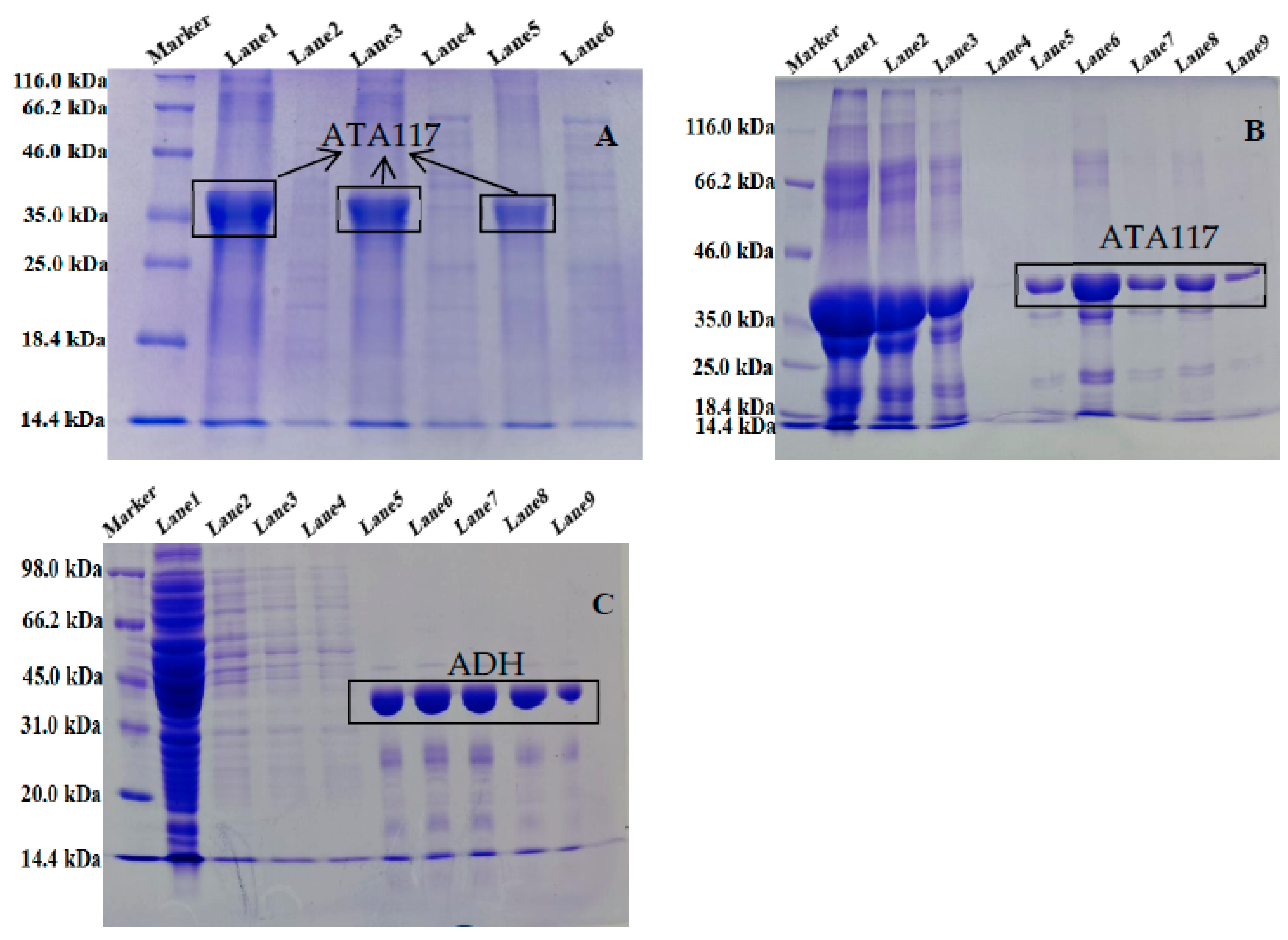 Molecules 27 07331 g002 Molecules 27 07331 g002
