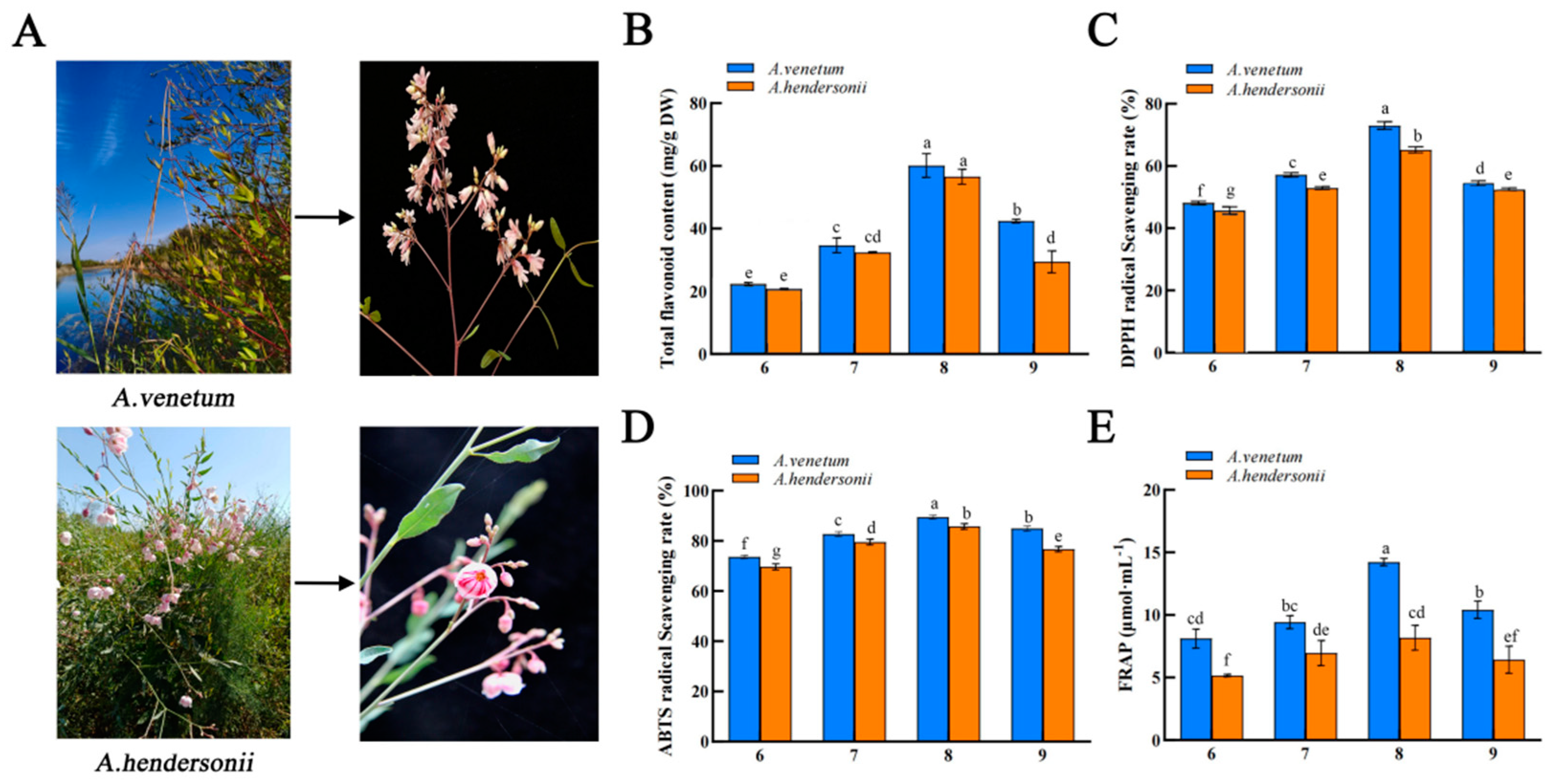 Molecules 27 07343 g001 Molecules 27 07343 g001