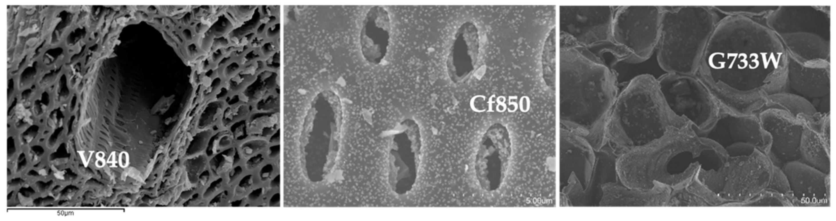 Molecules 27 07345 g002 Molecules 27 07345 g002