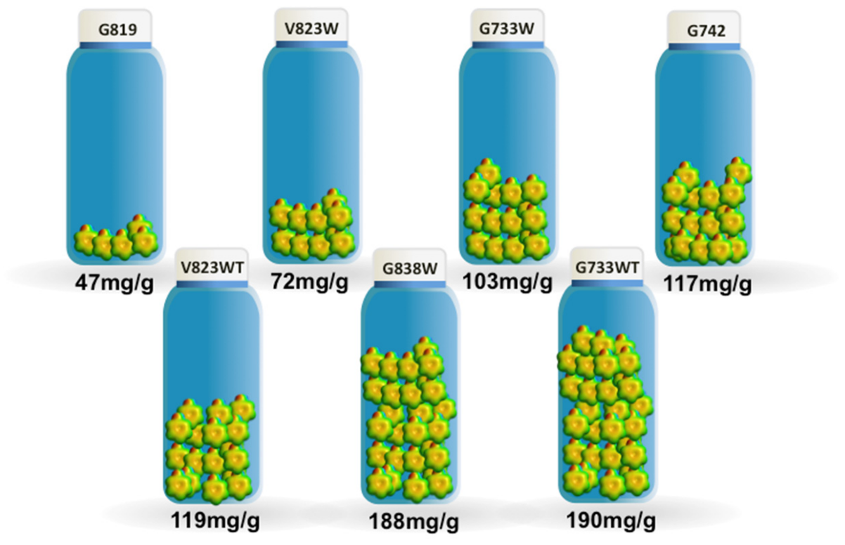 Molecules 27 07345 g003 Molecules 27 07345 g003