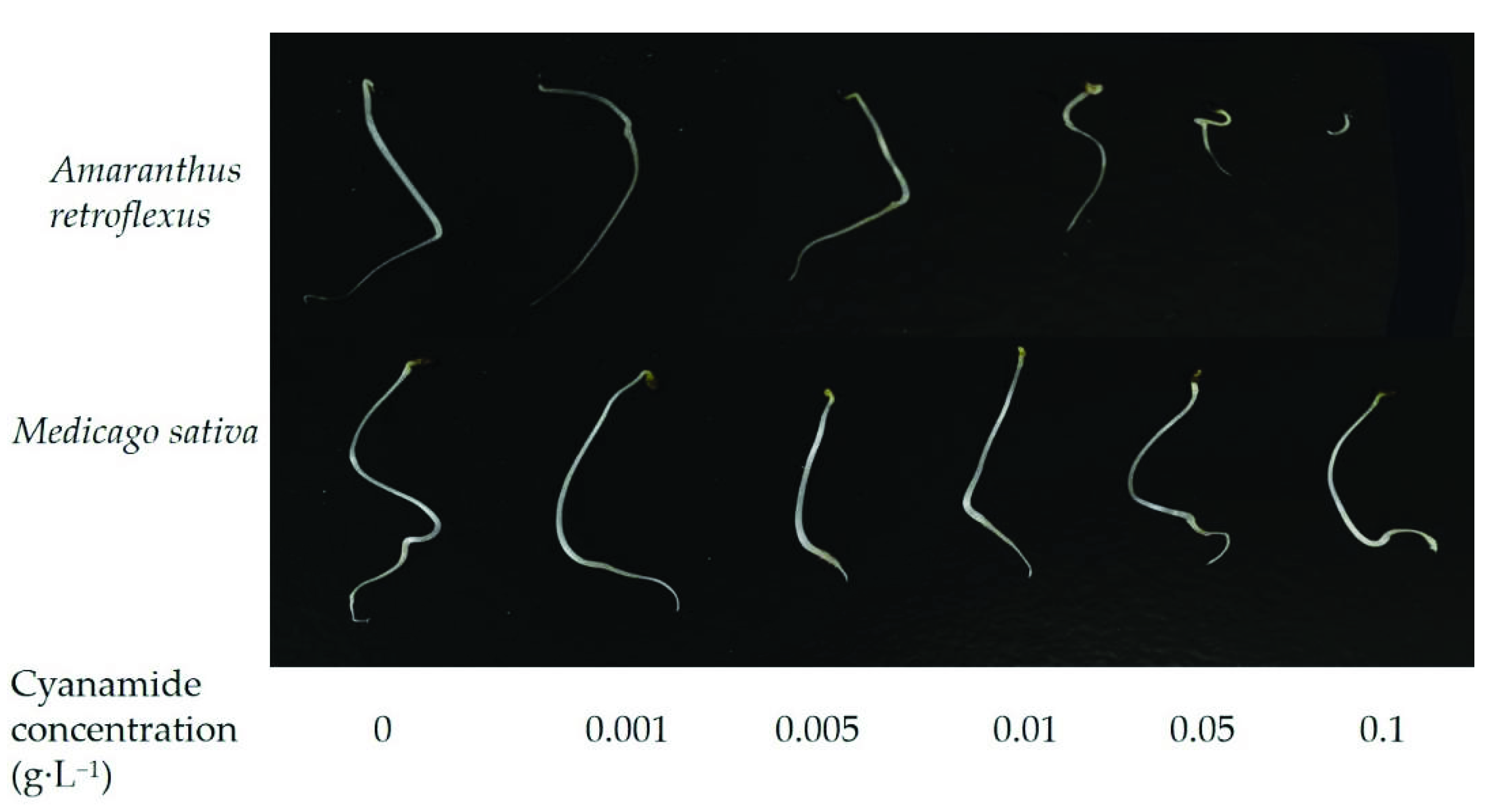 Molecules 27 07347 g001 Molecules 27 07347 g001