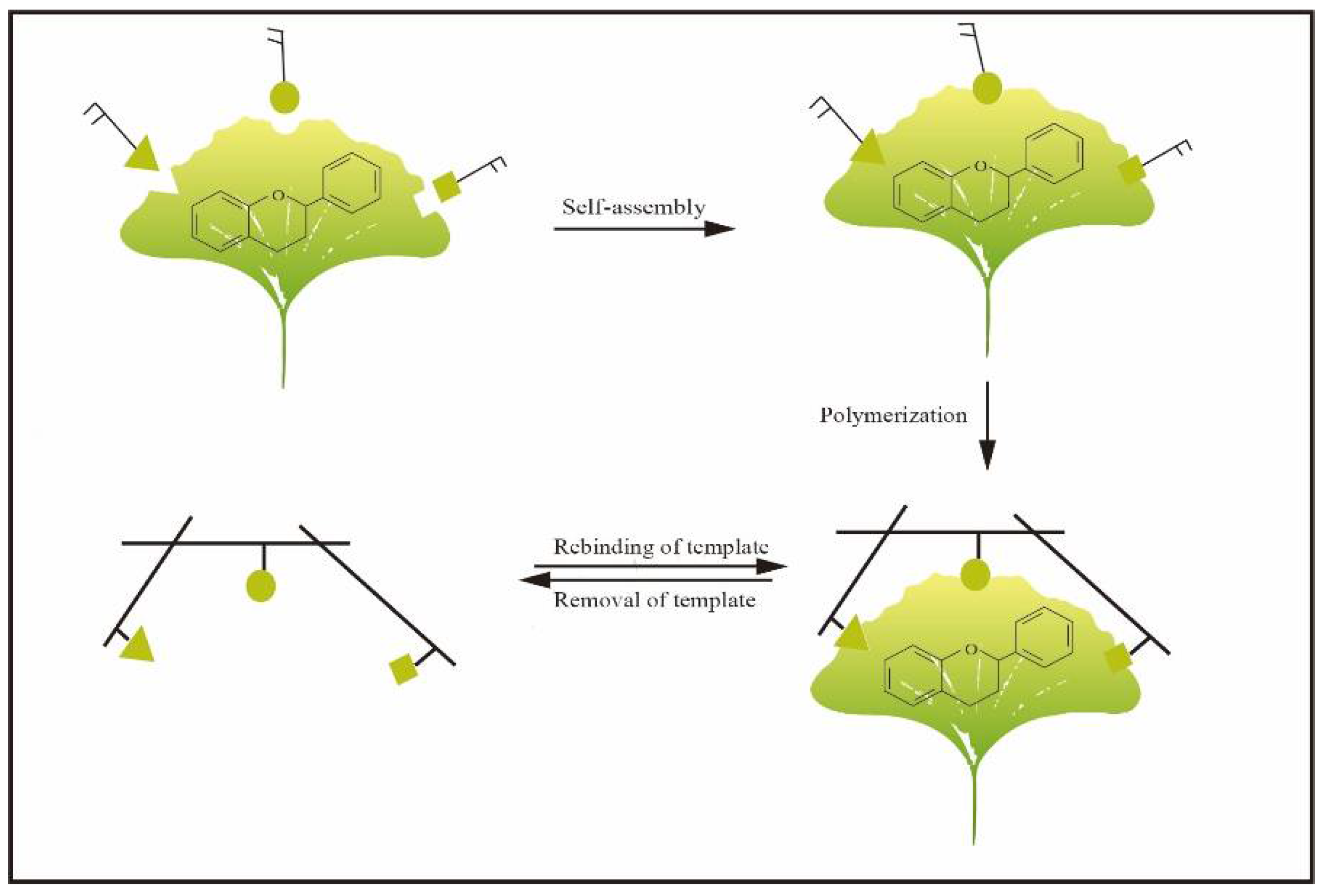 Molecules 27 07355 g002 Molecules 27 07355 g002