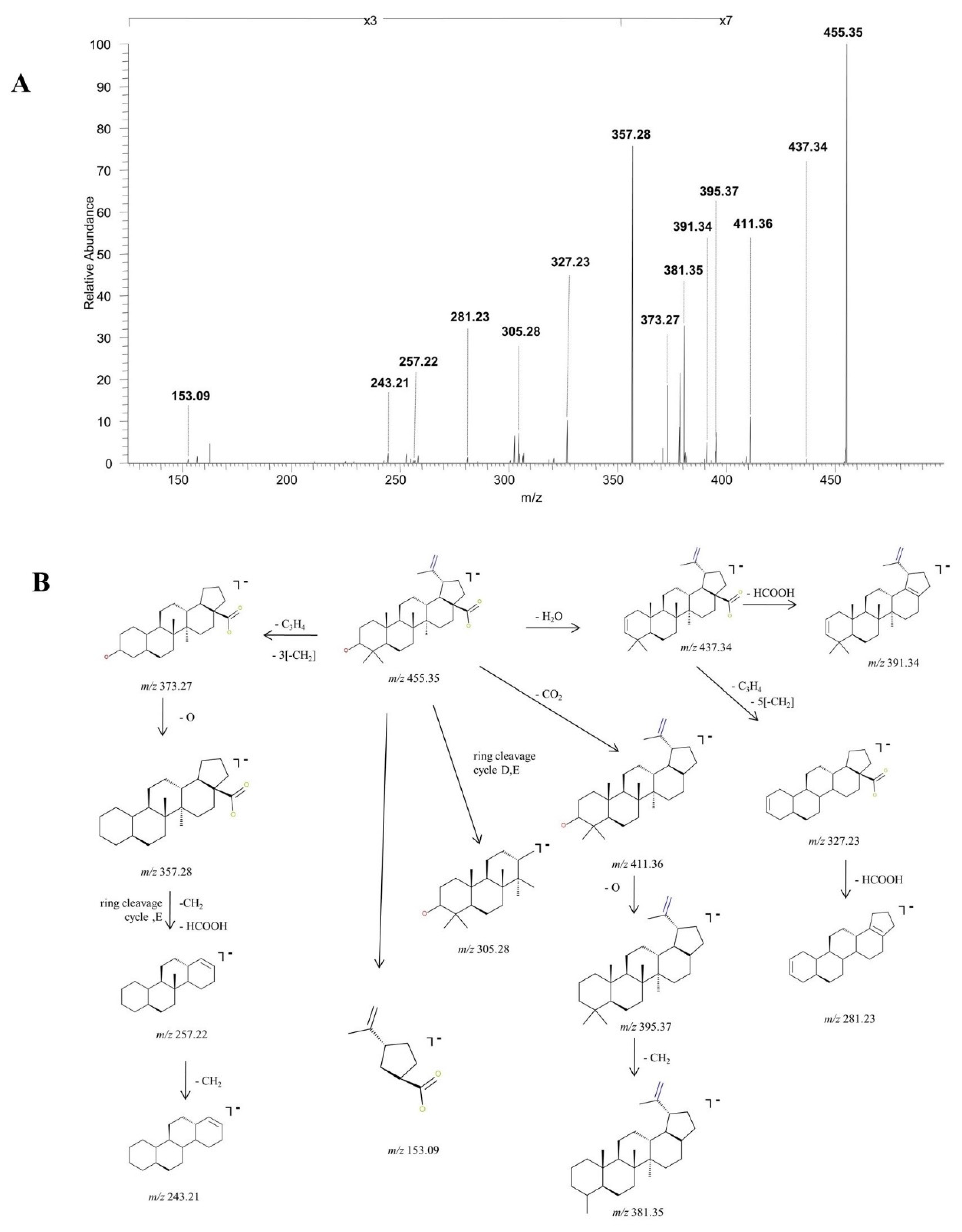 Molecules 27 07359 g002 Molecules 27 07359 g002